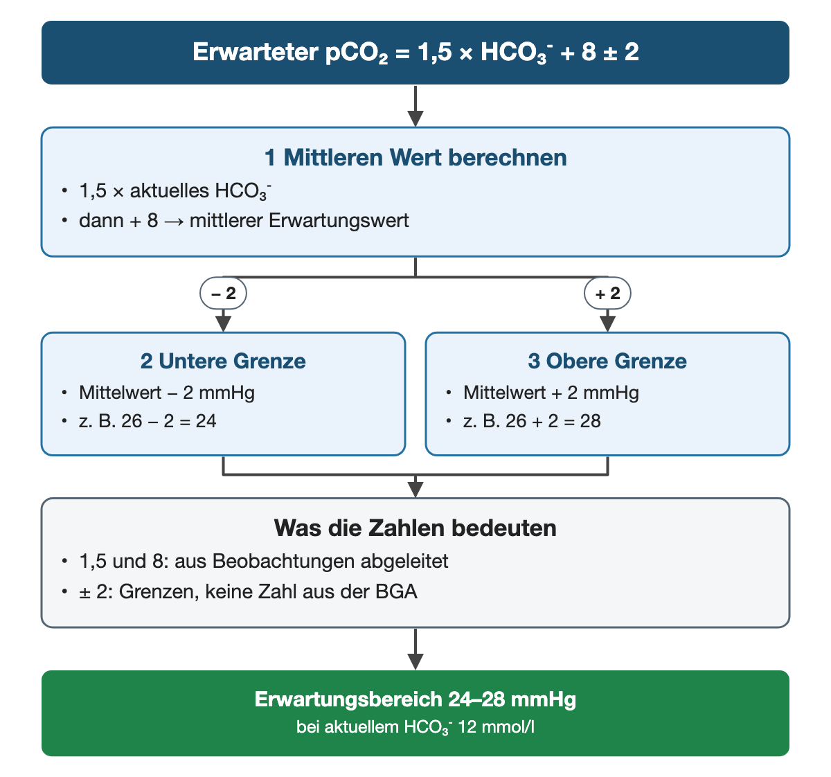 Von oben nach unten. Oben: Erwarteter pCO₂ = 1,5 × HCO₃⁻ + 8 ± 2. 1 Mittleren Wert berechnen: 1,5 × aktuelles HCO₃⁻, dann + 8 → mittlerer Erwartungswert. Nebeneinander: − 2 → 2 Untere Grenze: Mittelwert − 2 mmHg, z. B. 26 − 2 = 24 | + 2 → 3 Obere Grenze: Mittelwert + 2 mmHg, z. B. 26 + 2 = 28. Was die Zahlen bedeuten: 1,5 und 8: aus Beobachtungen abgeleitet, ± 2: Grenzen, keine Zahl aus der BGA. Ergebnis: Erwartungsbereich 24–28 mmHg (bei aktuellem HCO₃⁻ 12 mmol/l).