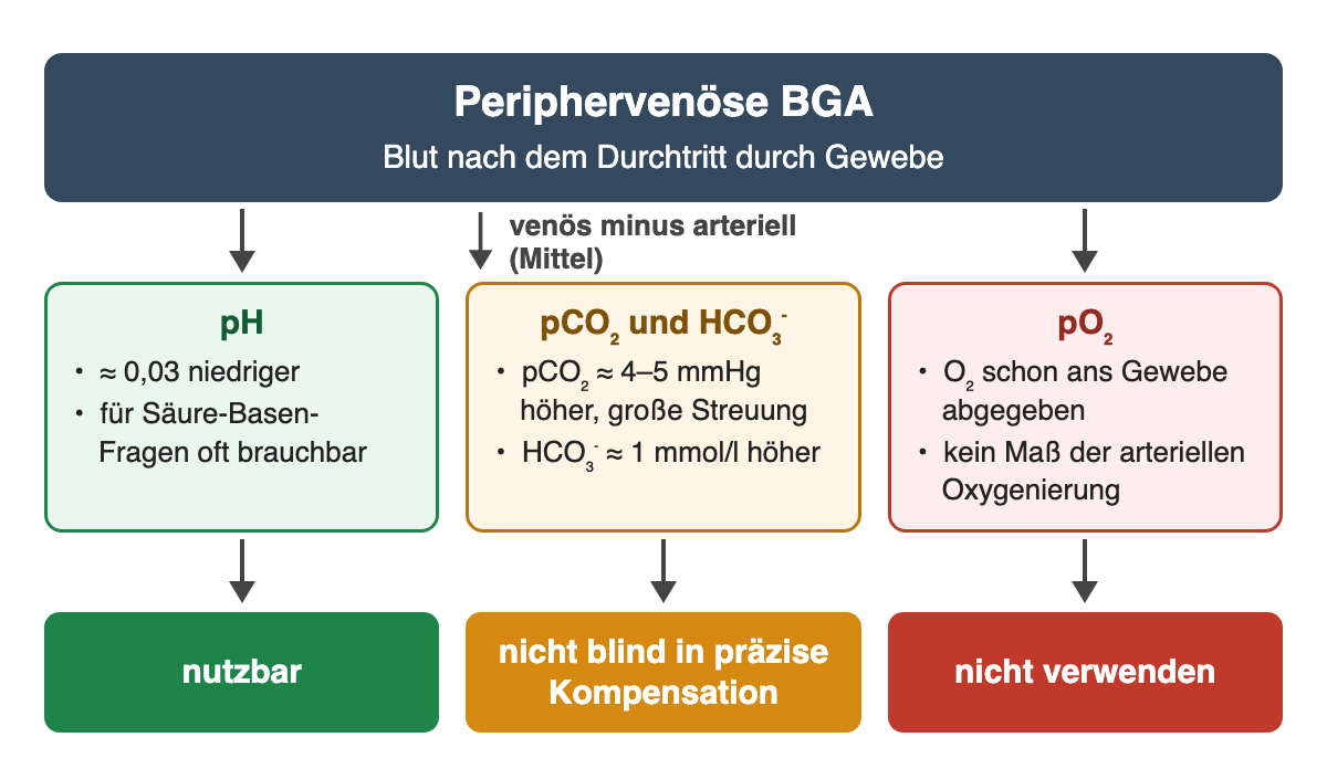 Periphervenöse BGA, mittlere Unterschiede zu arteriell: pH etwa 0,03 niedriger, nutzbar; pCO₂ etwa 4–5 mmHg und HCO₃⁻ etwa 1 mmol/l höher mit großer Streuung, nicht blind für eine präzise Kompensationsprüfung; pO₂ nicht für die arterielle Oxygenierung verwenden.