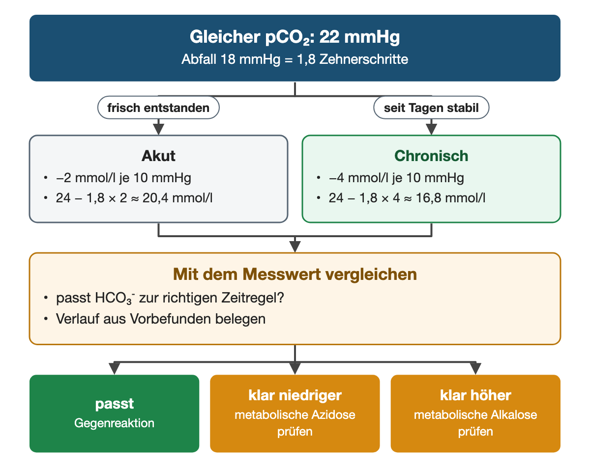 Von oben nach unten. Oben: Gleicher pCO₂: 22 mmHg (Abfall 18 mmHg = 1,8 Zehnerschritte). Nebeneinander: frisch entstanden → Akut: −2 mmol/l je 10 mmHg, 24 − 1,8 × 2 ≈ 20,4 mmol/l | seit Tagen stabil → Chronisch: −4 mmol/l je 10 mmHg, 24 − 1,8 × 4 ≈ 16,8 mmol/l. Mit dem Messwert vergleichen: passt HCO₃⁻ zur richtigen Zeitregel?, Verlauf aus Vorbefunden belegen. Ergebnis: passt (Gegenreaktion) | klar niedriger (metabolische Azidose prüfen) | klar höher (metabolische Alkalose prüfen).