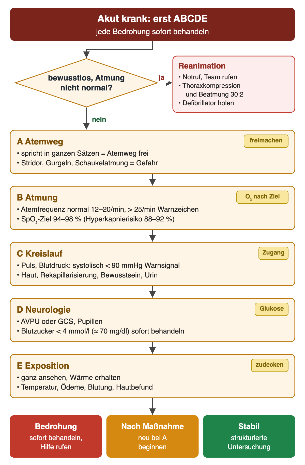 Entscheidungsdiagramm „Akut krank: erst ABCDE“. Zuerst die Frage, ob die Person bewusstlos ist und nicht normal atmet; bei Ja Reanimation mit Notruf, Thoraxkompression und Beatmung 30:2 und Defibrillator. Bei Nein folgen fünf Kästen: A Atemweg – spricht in ganzen Sätzen, Stridor oder Gurgeln als Gefahr; B Atmung – Atemfrequenz normal 12–20/min, über 25/min Warnzeichen, SpO₂-Ziel 94–98 %, bei Hyperkapnierisiko 88–92 %; C Kreislauf – Puls, Blutdruck, systolisch unter 90 mmHg als Warnsignal, Haut, Rekapillarisierung, Bewusstsein, Urin; D Neurologie – AVPU oder GCS, Pupillen, Blutzucker unter 4 mmol/l sofort behandeln; E Exposition – ganz ansehen, Wärme erhalten. Ergebniszeile: Bedrohung sofort behandeln und Hilfe rufen; nach jeder Maßnahme neu bei A beginnen; stabil – strukturierte Untersuchung.