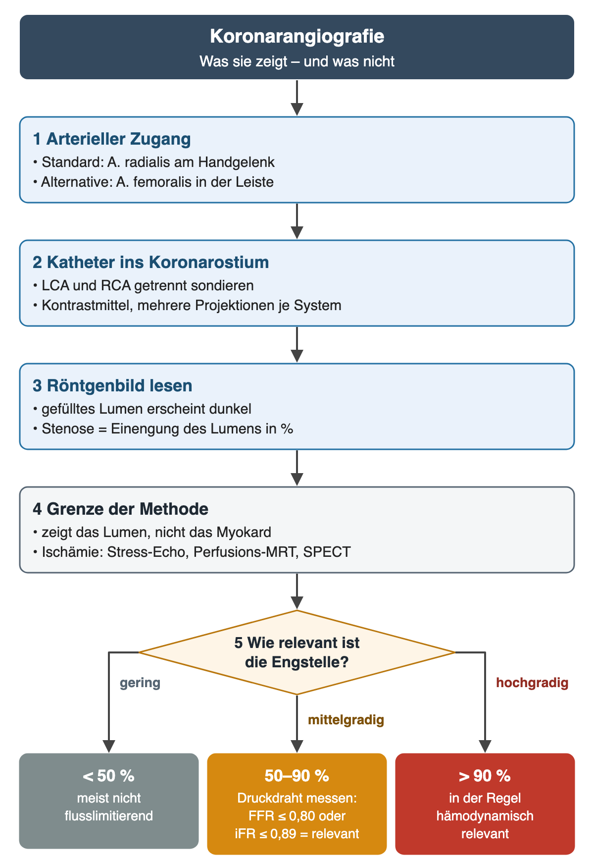 Ablauf in fünf Schritten. 1 Arterieller Zugang: Standard A. radialis am Handgelenk, Alternative A. femoralis in der Leiste. 2 Katheter ins Koronarostium: LCA und RCA getrennt sondieren, Kontrastmittel, mehrere Projektionen je System. 3 Röntgenbild lesen: Das gefüllte Lumen erscheint dunkel, eine Stenose ist die Einengung des Lumens in Prozent. 4 Grenze der Methode: Sie zeigt das Lumen, nicht das Myokard; Ischämie weisen Stress-Echo, Perfusions-MRT oder SPECT nach. 5 Entscheidungsraute „Wie relevant ist die Engstelle?“ mit drei Ästen: unter 50 Prozent meist nicht flusslimitierend; 50–90 Prozent Druckdraht messen, FFR höchstens 0,80 oder iFR höchstens 0,89 gilt als relevant; über 90 Prozent in der Regel hämodynamisch relevant.