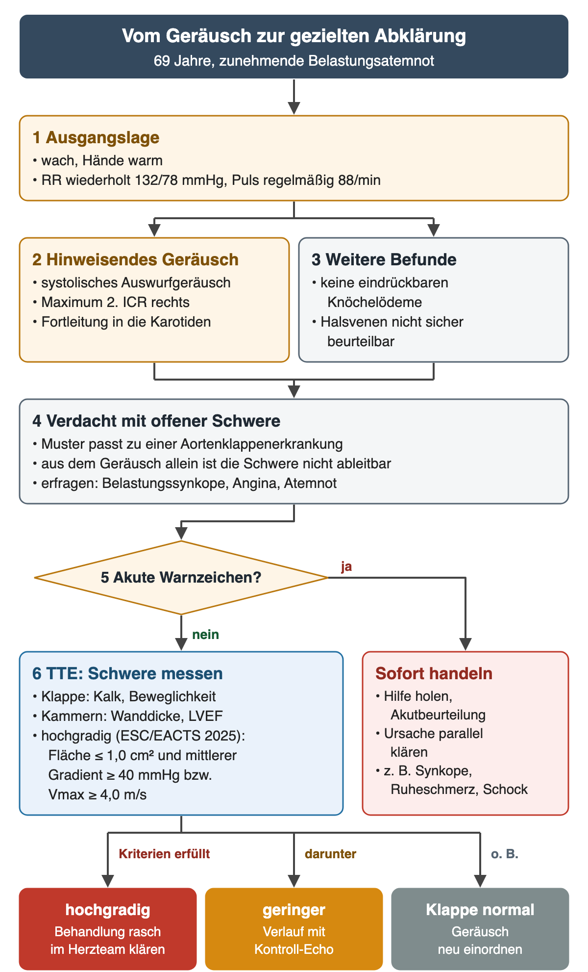 Flussdiagramm „Vom Geräusch zur gezielten Abklärung“, 69 Jahre, zunehmende Belastungsatemnot. 1 Ausgangslage: wach, Hände warm, Blutdruck wiederholt 132/78 mmHg, Puls regelmäßig 88/min. Daraus zwei Kästen: 2 hinweisendes Geräusch – systolisches Auswurfgeräusch, Maximum 2. ICR rechts, Fortleitung in die Karotiden; 3 weitere Befunde – keine eindrückbaren Knöchelödeme, Halsvenen nicht sicher beurteilbar. 4 Verdacht mit offener Schwere: Muster passt zu einer Aortenklappenerkrankung, aus dem Geräusch allein ist die Schwere nicht ableitbar; Belastungssynkope, Angina und Atemnot erfragen. 5 Akute Warnzeichen? Ja: sofort Hilfe und Akutbeurteilung, Ursache parallel klären, zum Beispiel bei Synkope, Ruheschmerz oder Schock. Nein: 6 TTE – Klappe mit Kalk und Beweglichkeit, Kammern mit Wanddicke und LVEF; hochgradig nach ESC/EACTS 2025 bei Fläche ≤ 1,0 cm² und mittlerem Gradienten ≥ 40 mmHg beziehungsweise Vmax ≥ 4,0 m/s. Ergebniszeile: Kriterien erfüllt – hochgradig, Behandlung rasch im Herzteam klären; darunter – geringer, Verlauf mit Kontroll-Echo; ohne Befund – Klappe normal, Geräusch neu einordnen.