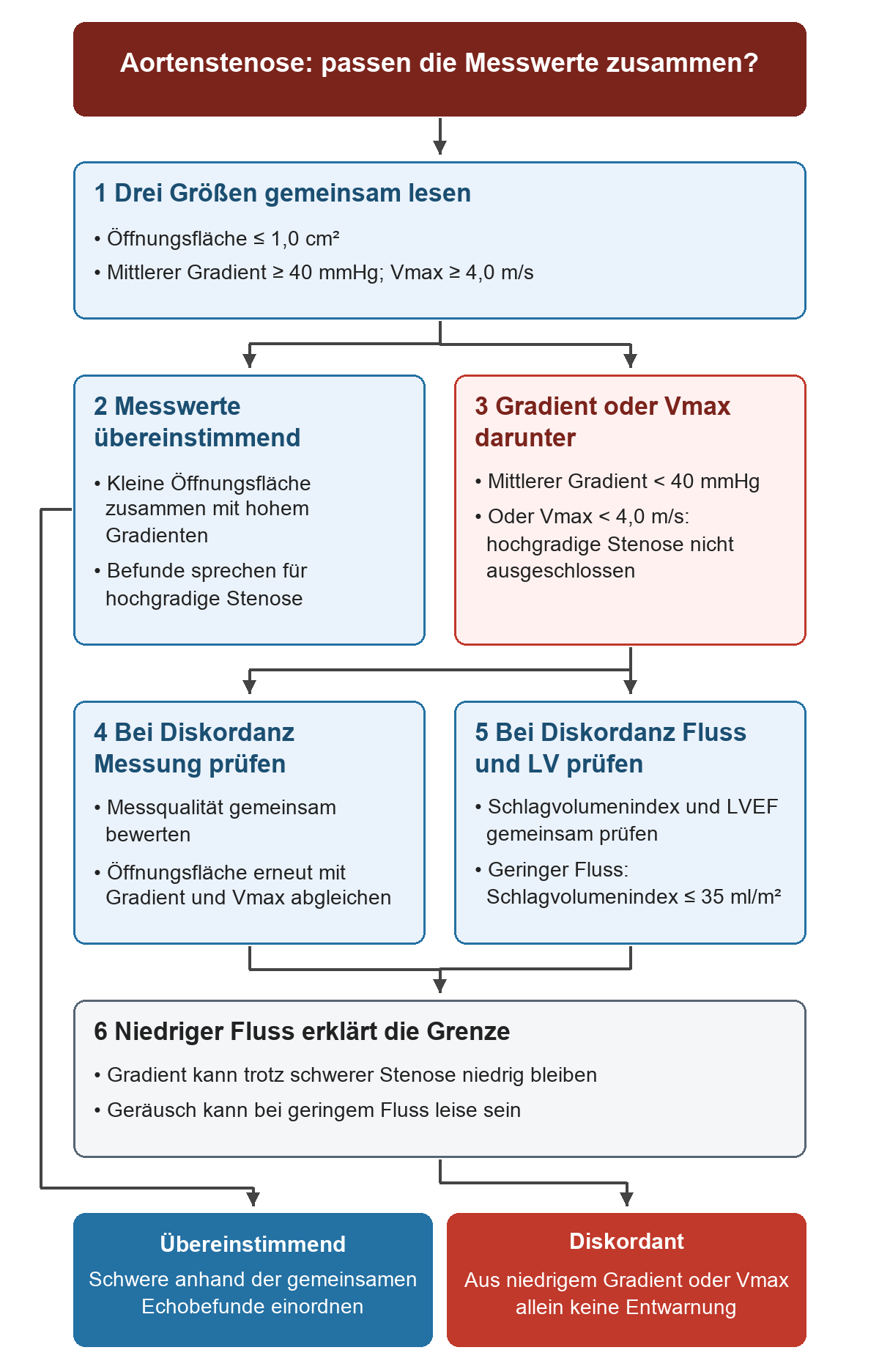 Drei Echogrößen werden gemeinsam gelesen: Öffnungsfläche, mittlerer Gradient und Spitzengeschwindigkeit. Bei übereinstimmenden Werten stützen sie eine hochgradige Stenose; bei Werten unter 40 mmHg beziehungsweise 4 m/s führt der Weg zur Prüfung von Messqualität, Öffnungsfläche, Schlagvolumenindex und LVEF, da geringer Fluss eine schwere Stenose verdecken kann.