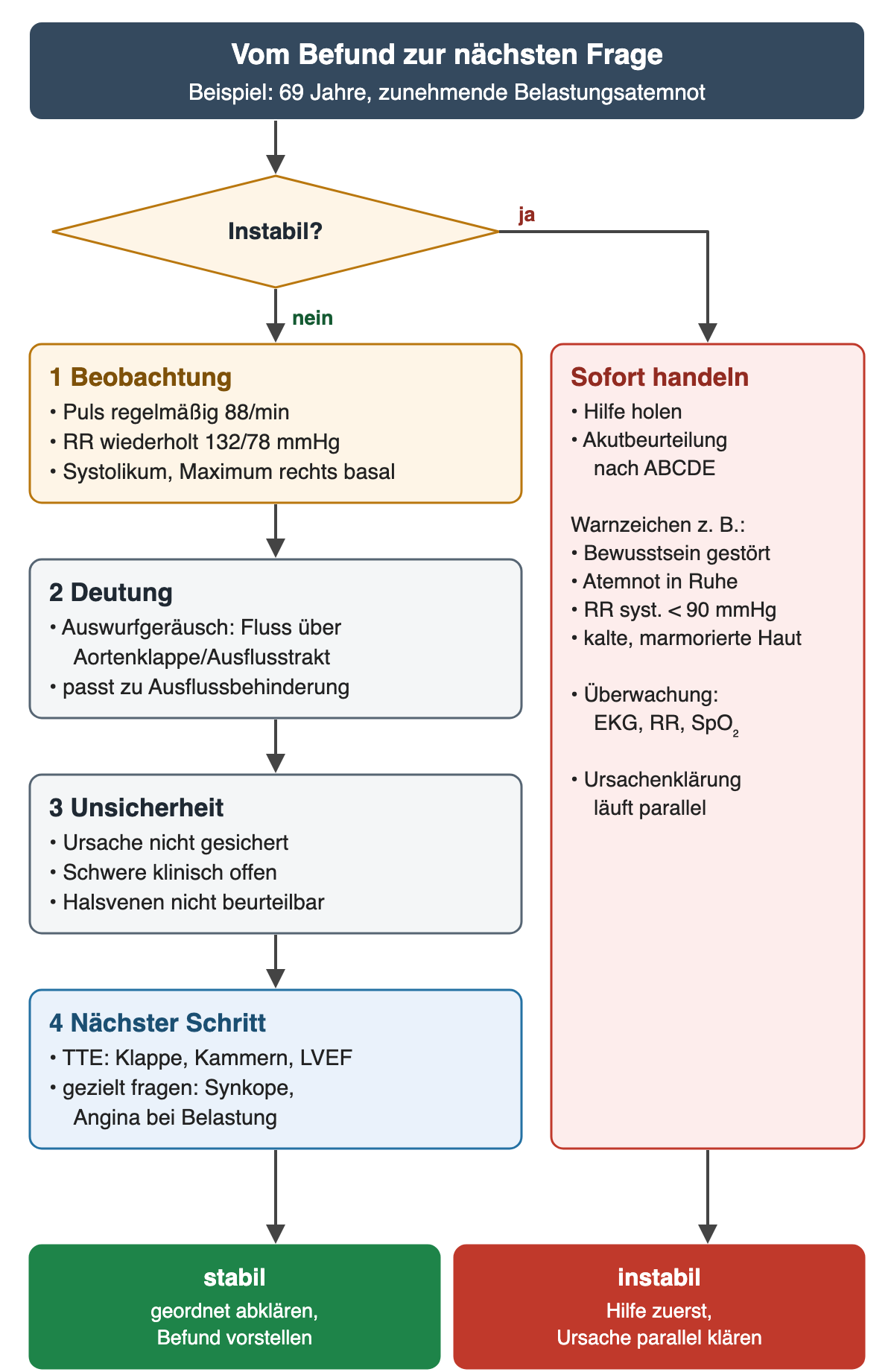 Flussdiagramm „Vom Befund zur nächsten Frage“ am Beispiel eines 69-Jährigen mit Belastungsatemnot. Zuerst die Frage: instabil? Ja: rechts „Sofort handeln“ – Hilfe holen, Akutbeurteilung nach ABCDE; Warnzeichen zum Beispiel gestörtes Bewusstsein, Atemnot in Ruhe, systolischer Blutdruck unter 90 mmHg, kalte, marmorierte Haut; Überwachung mit EKG, Blutdruck und Sauerstoffsättigung; Ursachenklärung läuft parallel. Nein: links vier Kästen. 1 Beobachtung: Puls regelmäßig 88/min, Blutdruck wiederholt 132/78 mmHg, Systolikum mit Maximum rechts basal. 2 Deutung: Auswurfgeräusch als Fluss über Aortenklappe oder Ausflusstrakt, passt zu einer Ausflussbehinderung. 3 Unsicherheit: Ursache nicht gesichert, Schwere klinisch offen, Halsvenen nicht beurteilbar. 4 Nächster Schritt: TTE für Klappe, Kammern und LVEF; gezielt nach Synkope und Angina bei Belastung fragen. Ergebniszeile: stabil – geordnet abklären und Befund vorstellen; instabil – Hilfe zuerst, Ursache parallel klären.