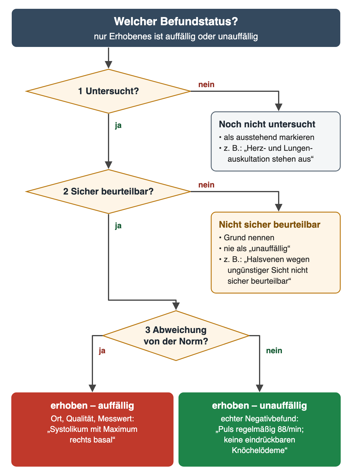 Entscheidungsbaum „Welcher Befundstatus?“. 1 Untersucht? Nein: „Noch nicht untersucht“ – als ausstehend markieren, zum Beispiel „Herz- und Lungenauskultation stehen aus“. Ja: 2 Sicher beurteilbar? Nein: „Nicht sicher beurteilbar“ – Grund nennen, nie als unauffällig, zum Beispiel „Halsvenen wegen ungünstiger Sicht nicht sicher beurteilbar“. Ja: 3 Abweichung von der Norm? Ja: erhoben – auffällig, mit Ort, Qualität und Messwert, zum Beispiel „Systolikum mit Maximum rechts basal“. Nein: erhoben – unauffällig, echter Negativbefund, zum Beispiel „Puls regelmäßig 88/min; keine eindrückbaren Knöchelödeme“.