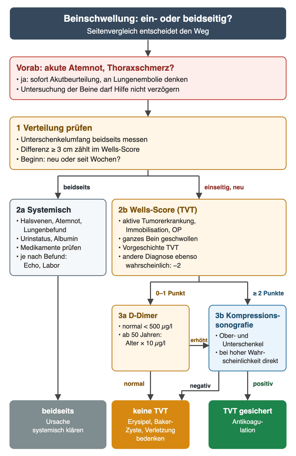 Flussdiagramm Beinschwellung: Vorab bei akuter Atemnot oder Thoraxschmerz sofortige Akutbeurteilung. 1 Unterschenkelumfang beidseits messen, Differenz ab 3 cm zählt im Wells-Score. Beidseits führt zur systemischen Suche mit Halsvenen, Lunge, Urinstatus, Albumin und Medikamenten. Einseitig und neu führt zum Wells-Score; bei 0 bis 1 Punkt D-Dimer (normal unter 500 µg/l, ab 50 Jahren Alter mal 10 µg/l), bei erhöhtem D-Dimer oder 2 und mehr Punkten Kompressionssonografie von Ober- und Unterschenkel. Ergebniszeile: systemische Ursache klären, keine Thrombose mit anderen lokalen Ursachen wie Erysipel oder Baker-Zyste, gesicherte Thrombose mit Antikoagulation.