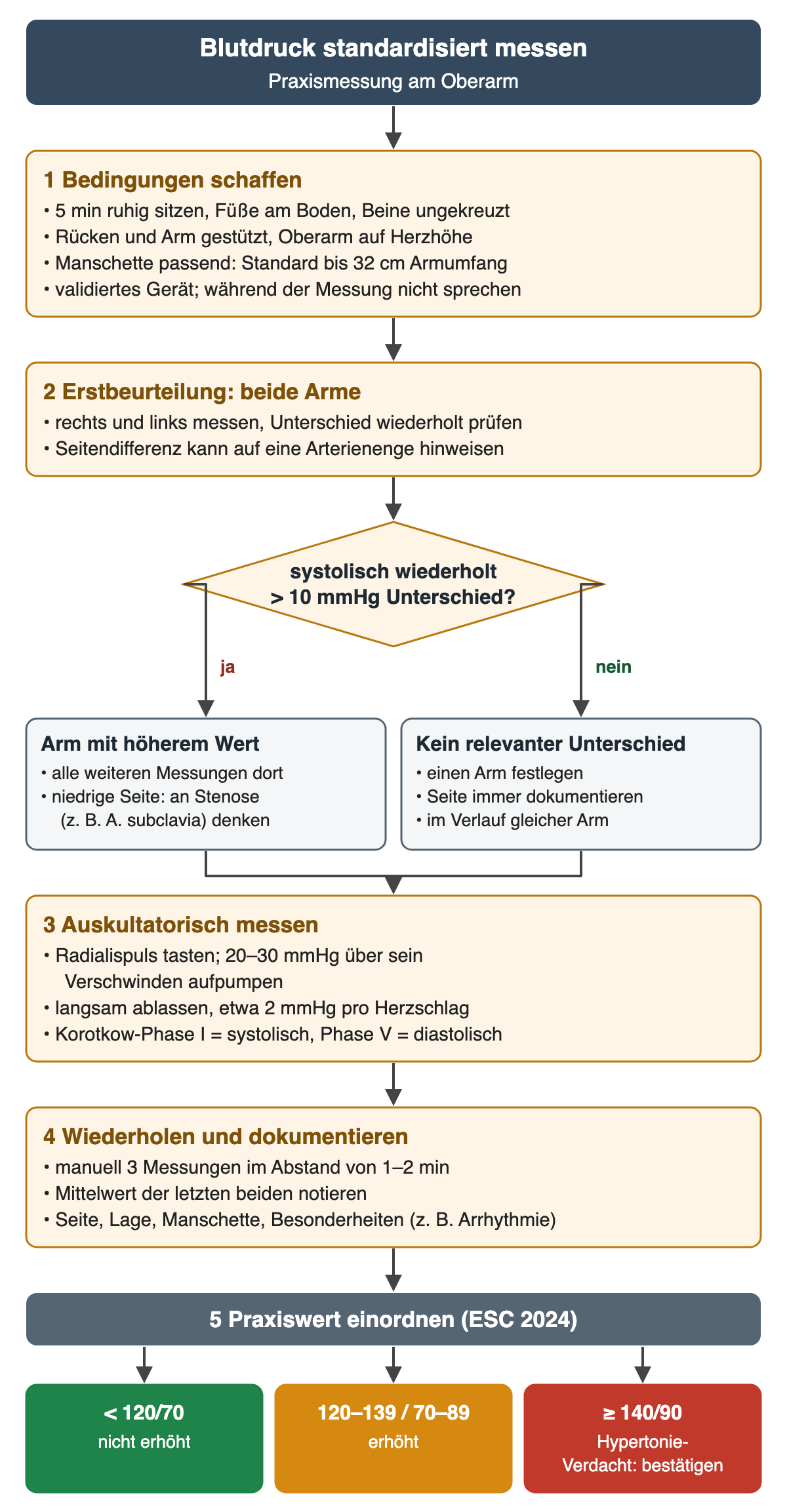 Ablaufdiagramm „Blutdruck standardisiert messen“. 1 Bedingungen: 5 Minuten ruhig sitzen, Füße am Boden, Beine ungekreuzt, Rücken und Arm gestützt, Oberarm auf Herzhöhe, passende Manschette (Standard bis 32 cm Armumfang), validiertes Gerät, nicht sprechen. 2 Erstbeurteilung an beiden Armen. Raute: systolisch wiederholt mehr als 10 mmHg Unterschied? Ja – Arm mit höherem Wert, an Stenose der niedrigen Seite denken, zum Beispiel A. subclavia; Nein – einen Arm festlegen und die Seite dokumentieren. 3 Auskultatorisch: 20–30 mmHg über das Verschwinden des Radialispulses aufpumpen, etwa 2 mmHg pro Herzschlag ablassen, Korotkow-Phase I systolisch, Phase V diastolisch. 4 Drei Messungen im Abstand von 1–2 Minuten, Mittelwert der letzten beiden, Seite, Lage, Manschette, Besonderheiten. 5 Einordnung nach ESC 2024: unter 120/70 nicht erhöht, 120–139/70–89 erhöht, ab 140/90 Hypertonie-Verdacht, der bestätigt wird.