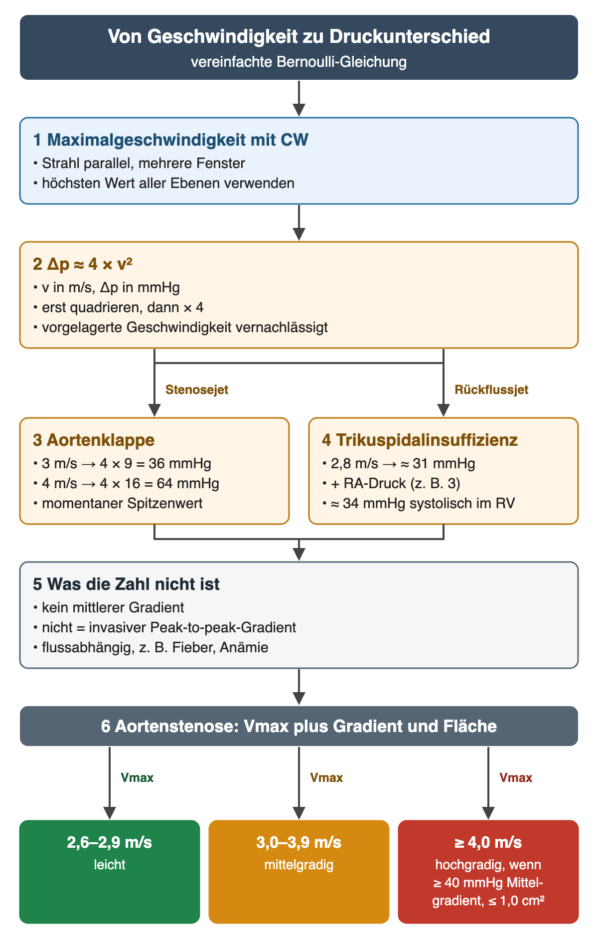 Ablauf: 1 blauer Kasten Maximalgeschwindigkeit mit CW, Strahl parallel, höchsten Wert aller Ebenen verwenden. 2 Kasten Δp ungefähr 4 mal v Quadrat, erst quadrieren, dann mal 4. Zwei Äste: Stenosejet zu 3 Aortenklappe, 3 m/s ergibt 36 mmHg, 4 m/s ergibt 64 mmHg; Rückflussjet zu 4 Trikuspidalinsuffizienz, 2,8 m/s ergibt etwa 31 mmHg, plus rechter Vorhofdruck etwa 34 mmHg systolisch im rechten Ventrikel. 5 grauer Kasten: kein mittlerer Gradient, nicht der invasive Peak-to-peak-Gradient, flussabhängig. Darunter Balken Aortenstenose mit drei Feldern: grün 2,6–2,9 m/s leicht, orange 3,0–3,9 m/s mittelgradig, rot ab 4,0 m/s hochgradig, wenn mittlerer Gradient mindestens 40 mmHg und Fläche höchstens 1,0 cm².