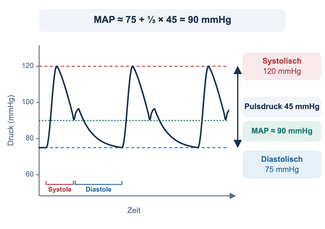 Arterielle Druckkurve über drei Herzschläge mit Druckachse in mmHg. Gestrichelte Linien markieren den systolischen Druck bei 120 mmHg, den diastolischen Druck bei 75 mmHg und den MAP bei etwa 90 mmHg. Ein Doppelpfeil zeigt den Pulsdruck von 45 mmHg. Unter dem ersten Schlag ist eine kurze Systole und eine längere Diastole markiert. Oben steht die Rechnung MAP ≈ 75 + ⅓ × 45 = 90 mmHg.