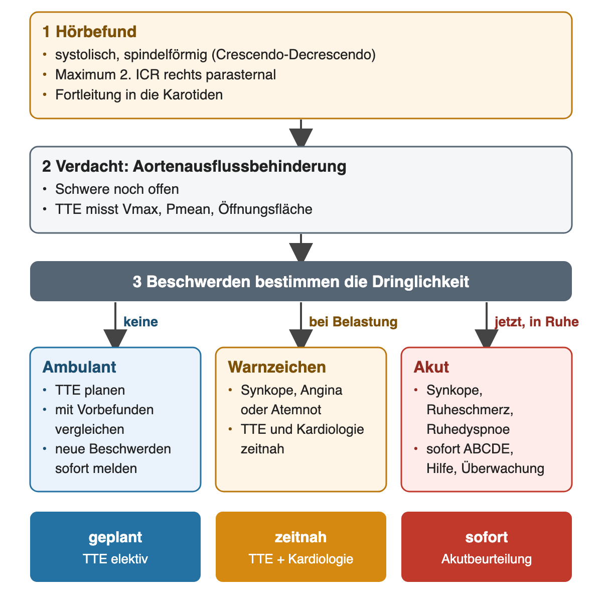 Ablauf von oben nach unten. 1 Hörbefund: systolisch, spindelförmig, Crescendo-Decrescendo, Maximum 2. ICR rechts parasternal, Fortleitung in die Karotiden. 2 Verdacht Aortenausflussbehinderung: Schwere noch offen, TTE misst Vmax, Pmean und Öffnungsfläche. 3 Beschwerden bestimmen die Dringlichkeit, drei Äste. Keine Beschwerden: ambulant, TTE planen, mit Vorbefunden vergleichen, neue Beschwerden sofort melden. Bei Belastung: Warnzeichen Synkope, Angina oder Atemnot, TTE und Kardiologie zeitnah. Jetzt in Ruhe: akut, Synkope, Ruheschmerz, Ruhedyspnoe, sofort ABCDE, Hilfe, Überwachung. Unten farbige Felder: geplant, TTE elektiv; zeitnah, TTE und Kardiologie; sofort, Akutbeurteilung.