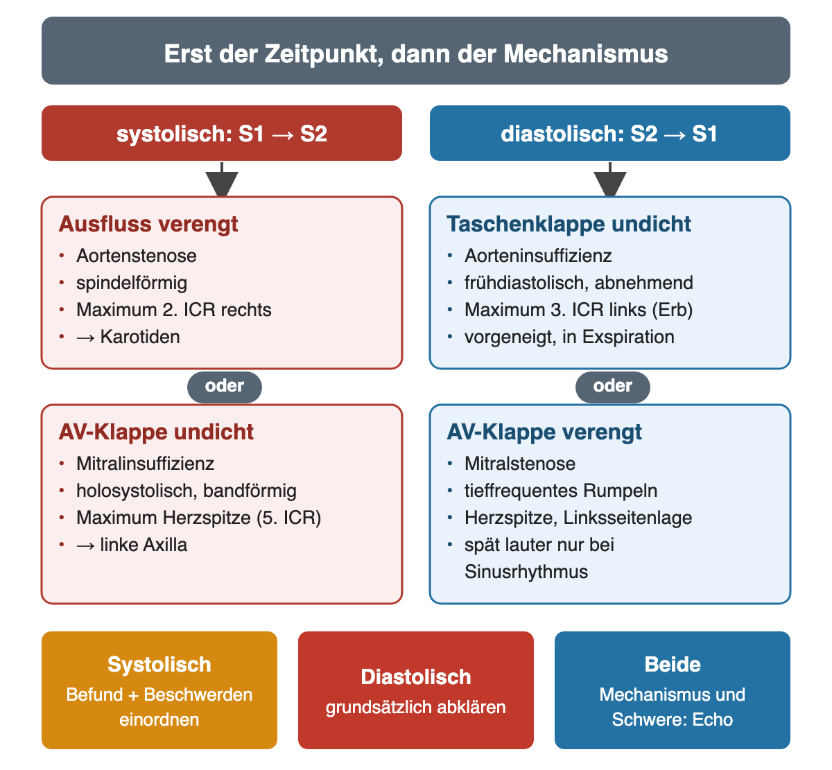 Zwei Spalten unter der Überschrift: erst der Zeitpunkt, dann der Mechanismus. Links rot, systolisch von S1 bis S2: Ausfluss verengt, Aortenstenose, spindelförmig, Maximum 2. ICR rechts, Fortleitung in die Karotiden; oder AV-Klappe undicht, Mitralinsuffizienz, holosystolisch und bandförmig, Maximum an der Herzspitze im 5. ICR, Fortleitung in die linke Axilla. Rechts blau, diastolisch von S2 bis S1: Taschenklappe undicht, Aorteninsuffizienz, frühdiastolisch abnehmend, Maximum 3. ICR links am Erb-Punkt, vorgeneigt in Exspiration; oder AV-Klappe verengt, Mitralstenose, tieffrequentes Rumpeln, Herzspitze in Linksseitenlage, spät lauter nur bei Sinusrhythmus. Unten drei Felder: systolisch, Befund und Beschwerden einordnen; diastolisch, grundsätzlich abklären; beide, Mechanismus und Schwere per Echo.