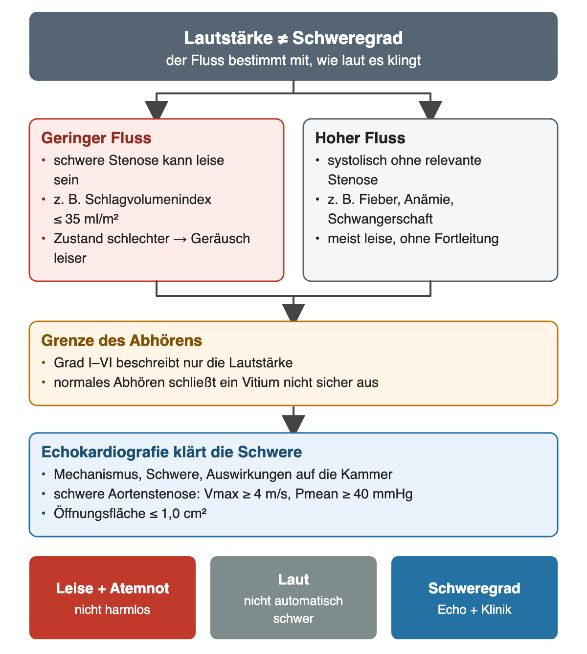 Oben: Lautstärke ist nicht gleich Schweregrad, der Fluss bestimmt mit, wie laut es klingt. Zwei Äste. Geringer Fluss, rot: schwere Stenose kann leise sein, zum Beispiel Schlagvolumenindex bis 35 ml pro Quadratmeter, Zustand schlechter, Geräusch leiser. Hoher Fluss, grau: systolisch ohne relevante Stenose, zum Beispiel Fieber, Anämie, Schwangerschaft, meist leise, ohne Fortleitung. Beide führen zu Grenze des Abhörens: Grad I bis VI beschreibt nur die Lautstärke, normales Abhören schließt ein Vitium nicht sicher aus. Darunter Echokardiografie klärt die Schwere: Mechanismus, Schwere, Auswirkungen auf die Kammer; schwere Aortenstenose bei Vmax ab 4 m/s, Pmean ab 40 mmHg, Öffnungsfläche bis 1,0 Quadratzentimeter. Unten drei Felder: leise und Atemnot, nicht harmlos; laut, nicht automatisch schwer; Schweregrad aus Echo und Klinik.