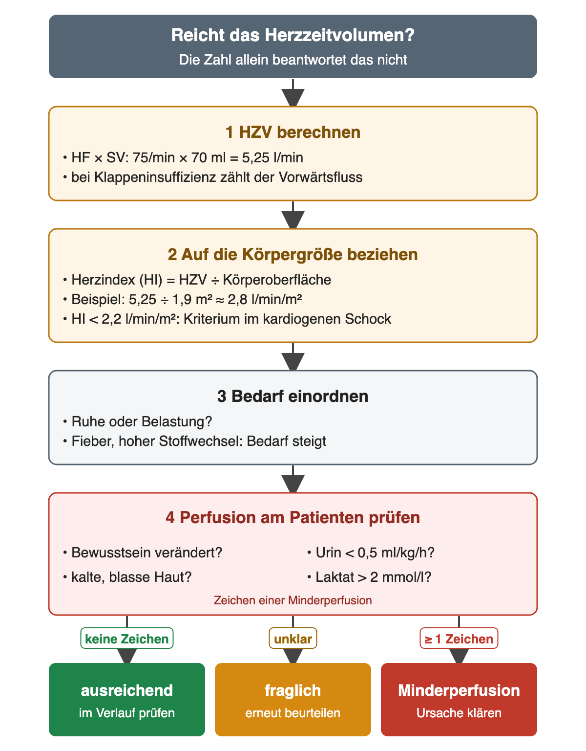 Flussdiagramm „Reicht das Herzzeitvolumen?“ in vier Schritten. 1 HZV berechnen: 75/min × 70 ml = 5,25 l/min; bei Klappeninsuffizienz zählt der Vorwärtsfluss. 2 Auf die Körpergröße beziehen: Herzindex = HZV geteilt durch Körperoberfläche, Beispiel 5,25 geteilt durch 1,9 m² ergibt etwa 2,8 l/min/m²; ein Herzindex unter 2,2 l/min/m² ist ein Kriterium im kardiogenen Schock. 3 Bedarf einordnen: Ruhe oder Belastung, Fieber und hoher Stoffwechsel steigern den Bedarf. 4 Perfusion am Patienten prüfen: Bewusstsein verändert, kalte blasse Haut, Urin unter 0,5 ml/kg/h, Laktat über 2 mmol/l. Drei Pfeile führen zu den Ergebnissen: keine Zeichen – ausreichend, im Verlauf prüfen; unklar – fraglich, erneut beurteilen; mindestens ein Zeichen – Minderperfusion, Ursache klären.