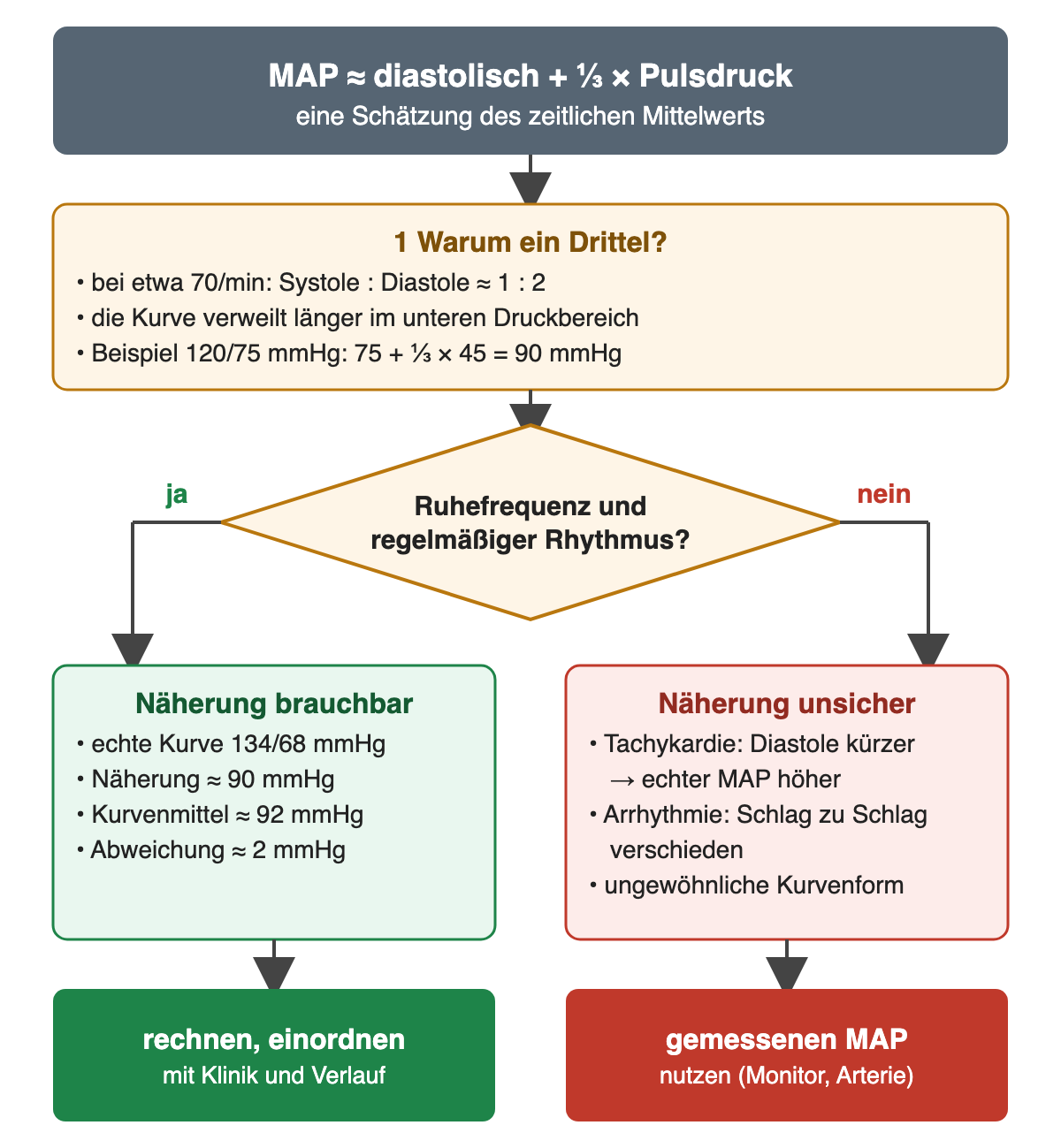 Entscheidungsdiagramm. Oben: MAP ungefähr diastolisch plus ein Drittel Pulsdruck, eine Schätzung des zeitlichen Mittelwerts. 1 Warum ein Drittel: bei etwa 70/min Systole zu Diastole etwa 1 zu 2; die Kurve verweilt länger im unteren Druckbereich; Beispiel 120/75 mmHg ergibt 75 plus ein Drittel von 45 gleich 90 mmHg. Frage: Ruhefrequenz und regelmäßiger Rhythmus? Ja: Näherung brauchbar – echte Kurve 134/68 mmHg, Näherung etwa 90 mmHg, Kurvenmittel etwa 92 mmHg, Abweichung etwa 2 mmHg; Ergebnis rechnen und mit Klinik und Verlauf einordnen. Nein: Näherung unsicher – bei Tachykardie ist die Diastole kürzer und der echte MAP höher, bei Arrhythmie schwankt er von Schlag zu Schlag, ebenso bei ungewöhnlicher Kurvenform; Ergebnis gemessenen MAP vom Monitor oder der arteriellen Messung nutzen.