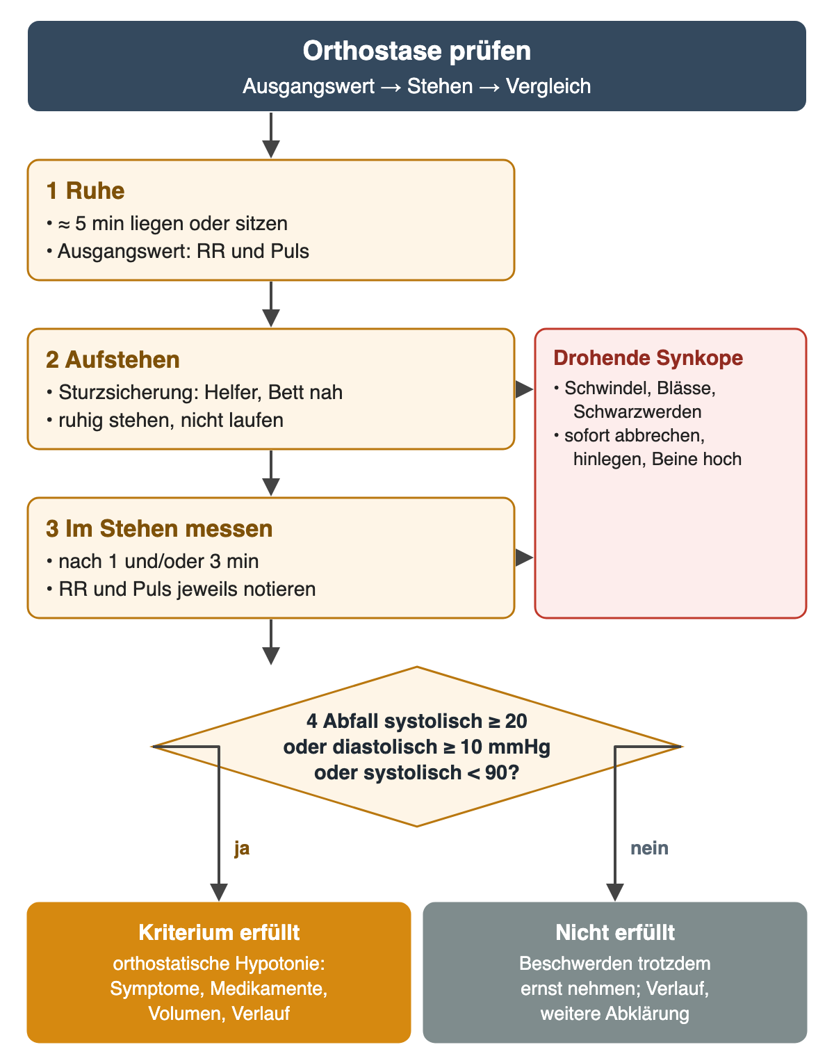 Ablaufdiagramm „Orthostase prüfen“. 1 Ruhe: etwa 5 Minuten liegen oder sitzen, Ausgangswert von Blutdruck und Puls. 2 Aufstehen mit Sturzsicherung, ruhig stehen. 3 Im Stehen nach 1 und/oder 3 Minuten messen. Von Schritt 2 und 3 führt ein Pfeil zum roten Kasten „Drohende Synkope“: Schwindel, Blässe, Schwarzwerden – sofort abbrechen, hinlegen, Beine hoch. 4 Raute: Abfall systolisch mindestens 20 oder diastolisch mindestens 10 mmHg oder systolisch unter 90 mmHg? Ja – Kriterium erfüllt, orthostatische Hypotonie: Symptome, Medikamente, Volumen, Verlauf bewerten. Nein – Beschwerden trotzdem ernst nehmen, Verlauf und weitere Abklärung.
