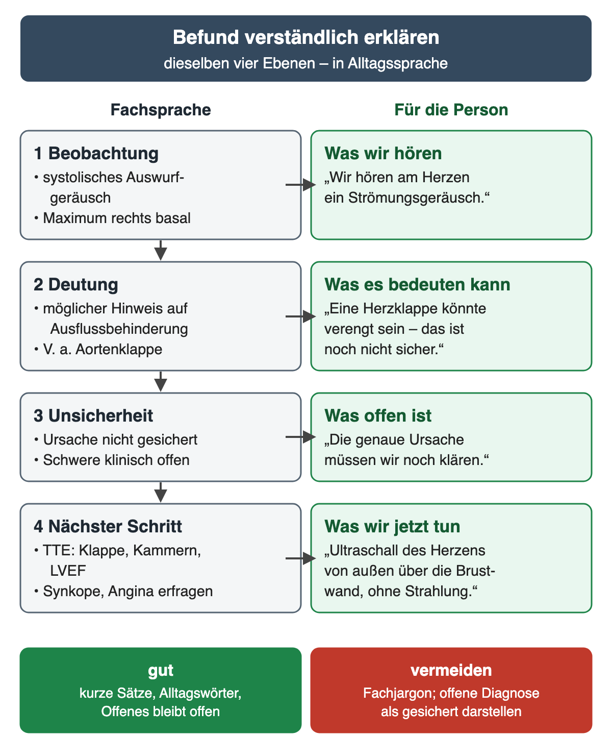 Zweispaltiges Diagramm „Befund verständlich erklären“: links Fachsprache, rechts die Übersetzung für die Person, vier Zeilen mit Pfeilen. 1 Beobachtung: systolisches Auswurfgeräusch, Maximum rechts basal – „Wir hören am Herzen ein Strömungsgeräusch.“ 2 Deutung: möglicher Hinweis auf Ausflussbehinderung, Verdacht auf Aortenklappe – „Eine Herzklappe könnte verengt sein – das ist noch nicht sicher.“ 3 Unsicherheit: Ursache nicht gesichert, Schwere klinisch offen – „Die genaue Ursache müssen wir noch klären.“ 4 Nächster Schritt: TTE für Klappe, Kammern und LVEF; Synkope und Angina erfragen – „Ultraschall des Herzens von außen über die Brustwand, ohne Strahlung.“ Ergebniszeile: gut – kurze Sätze, Alltagswörter, Offenes bleibt offen; vermeiden – Fachjargon und eine offene Diagnose als gesichert darstellen.