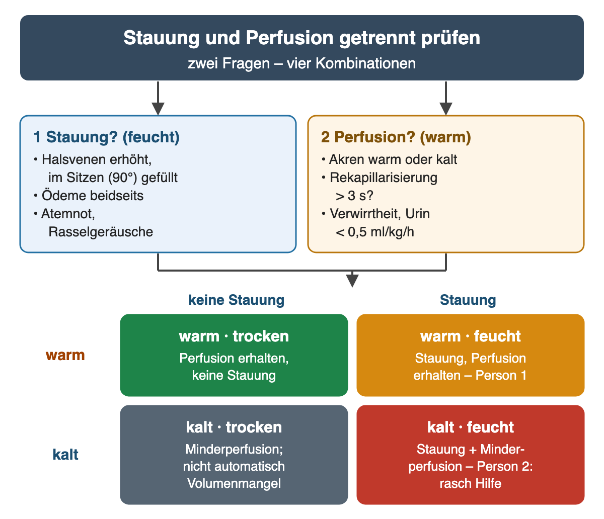 Zwei Prüffragen nebeneinander: 1 Stauung, also feucht – Halsvenen erhöht und auch im Sitzen gefüllt, Ödeme beidseits, Atemnot und Rasselgeräusche; 2 Perfusion, also warm – Akren warm oder kalt, Rekapillarisierung über 3 Sekunden, Verwirrtheit, Urin unter 0,5 ml/kg pro Stunde. Darunter eine Vierfeldertafel: warm und trocken grün, warm und feucht gelb mit Person 1, kalt und trocken grau, nicht automatisch Volumenmangel, kalt und feucht rot mit Person 2 und rascher Hilfe.