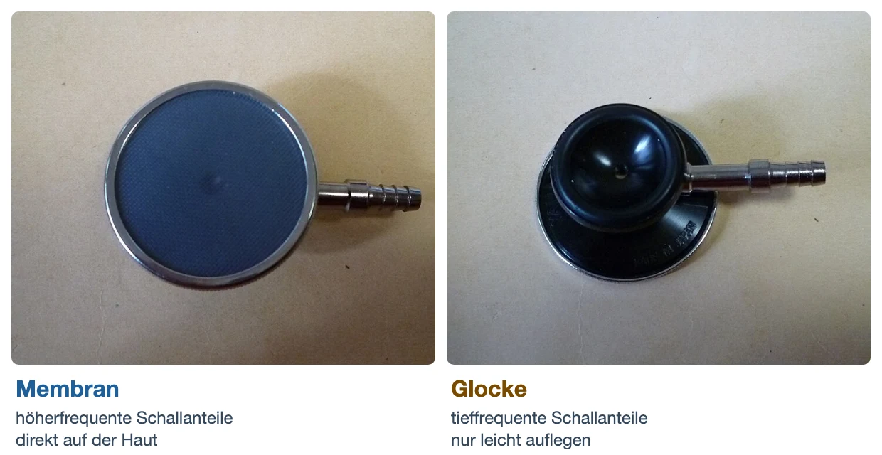 Zwei Fotos desselben Stethoskop-Bruststücks von oben: links die flache, mit einer Membran bespannte Seite, rechts die kleinere, trichterförmige Glocke. Darunter die Beschriftungen „Membran – höherfrequente Schallanteile, direkt auf der Haut“ und „Glocke – tieffrequente Schallanteile, nur leicht auflegen“.