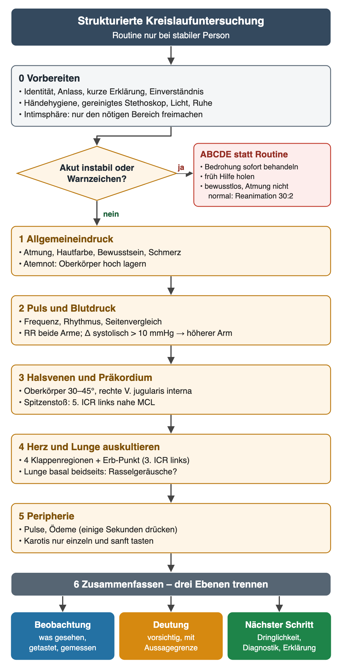 Ablaufdiagramm der strukturierten Kreislaufuntersuchung. 0 Vorbereiten: Identität, Anlass, Einverständnis, Händehygiene, gereinigtes Stethoskop, Intimsphäre. Danach die Frage „Akut instabil oder Warnzeichen?“; bei Ja ABCDE statt Routine, Hilfe holen, bei Bewusstlosigkeit ohne normale Atmung Reanimation 30:2. Bei Nein fünf Schritte: 1 Allgemeineindruck; 2 Puls und Blutdruck an beiden Armen, bei systolisch mehr als 10 mmHg Unterschied der höhere Arm; 3 Halsvenen bei 30–45° Oberkörperhochlage und Spitzenstoß im 5. ICR links nahe der Medioklavikularlinie; 4 Herz an vier Klappenregionen plus Erb-Punkt im 3. ICR links sowie Lunge basal beidseits auskultieren; 5 Pulse, Ödeme, Karotis nur einzeln und sanft. Abschluss 6 Zusammenfassen mit drei farbigen Feldern: Beobachtung, Deutung, nächster Schritt.