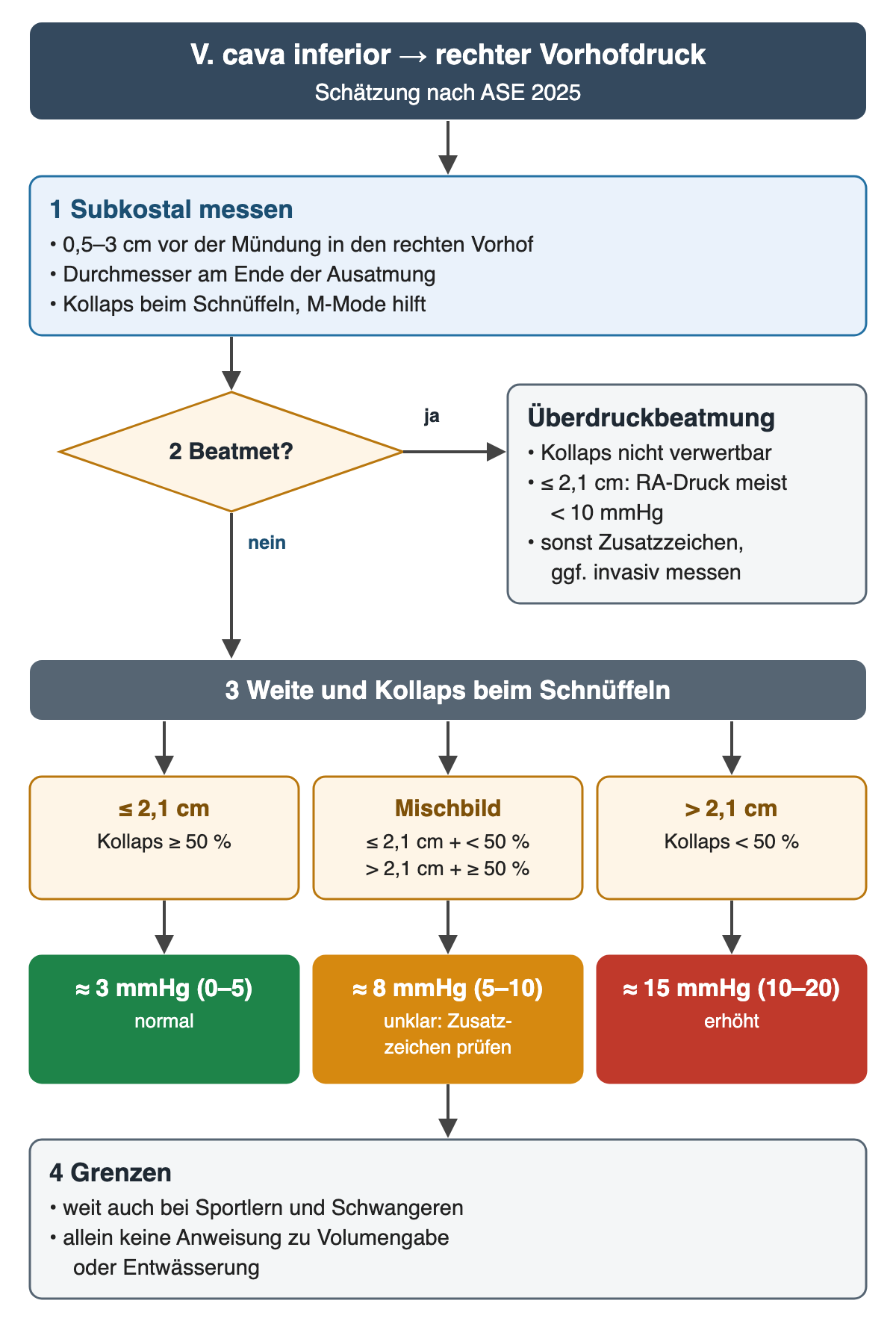 Ablauf: 1 blauer Kasten subkostal messen, 0,5–3 cm vor der Mündung, am Ende der Ausatmung, Kollaps beim Schnüffeln. Raute beatmet? Ja führt zum grauen Kasten Überdruckbeatmung: Kollaps nicht verwertbar, bis 2,1 cm meist unter 10 mmHg, sonst Zusatzzeichen oder invasiv. Nein führt zu Balken 3 Weite und Kollaps mit drei Kästen: bis 2,1 cm und mindestens 50 % Kollaps, Mischbild, über 2,1 cm und unter 50 % Kollaps. Ergebnisse: grün etwa 3 mmHg (0–5) normal, orange etwa 8 mmHg (5–10) unklar, rot etwa 15 mmHg (10–20) erhöht. Unten grauer Kasten Grenzen: weit auch bei Sportlern und Schwangeren, allein keine Anweisung zu Volumengabe oder Entwässerung.