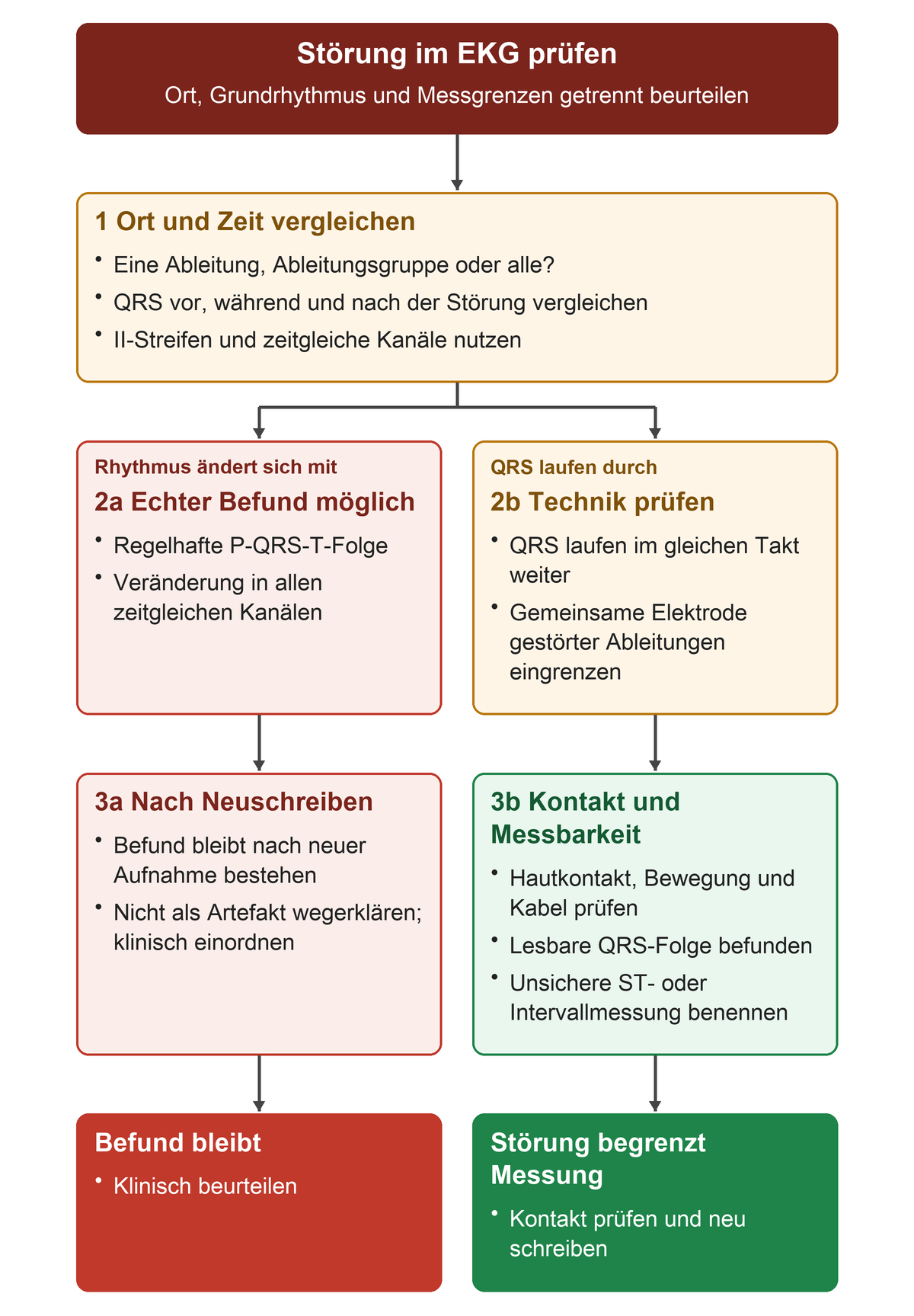 Störung im EKG prüfen. Ort, Grundrhythmus und Messgrenzen getrennt beurteilen. 1 Ort und Zeit vergleichen: Eine Ableitung, Ableitungsgruppe oder alle?, QRS vor, während und nach der Störung vergleichen, II-Streifen und zeitgleiche Kanäle nutzen; Rhythmus ändert sich mit: 2a Echter Befund möglich: Regelhafte P-QRS-T-Folge, Veränderung in allen zeitgleichen Kanälen; QRS laufen durch: 2b Technik prüfen: QRS laufen im gleichen Takt weiter, Gemeinsame Elektrode gestörter Ableitungen eingrenzen; 3a Nach Neuschreiben: Befund bleibt nach neuer Aufnahme bestehen, Nicht als Artefakt wegerklären; klinisch einordnen; 3b Kontakt und Messbarkeit: Hautkontakt, Bewegung und Kabel prüfen, Lesbare QRS-Folge befunden, Unsichere ST- oder Intervallmessung benennen. Ergebnisse: Befund bleibt: Klinisch beurteilen; Störung begrenzt Messung: Kontakt prüfen und neu schreiben.