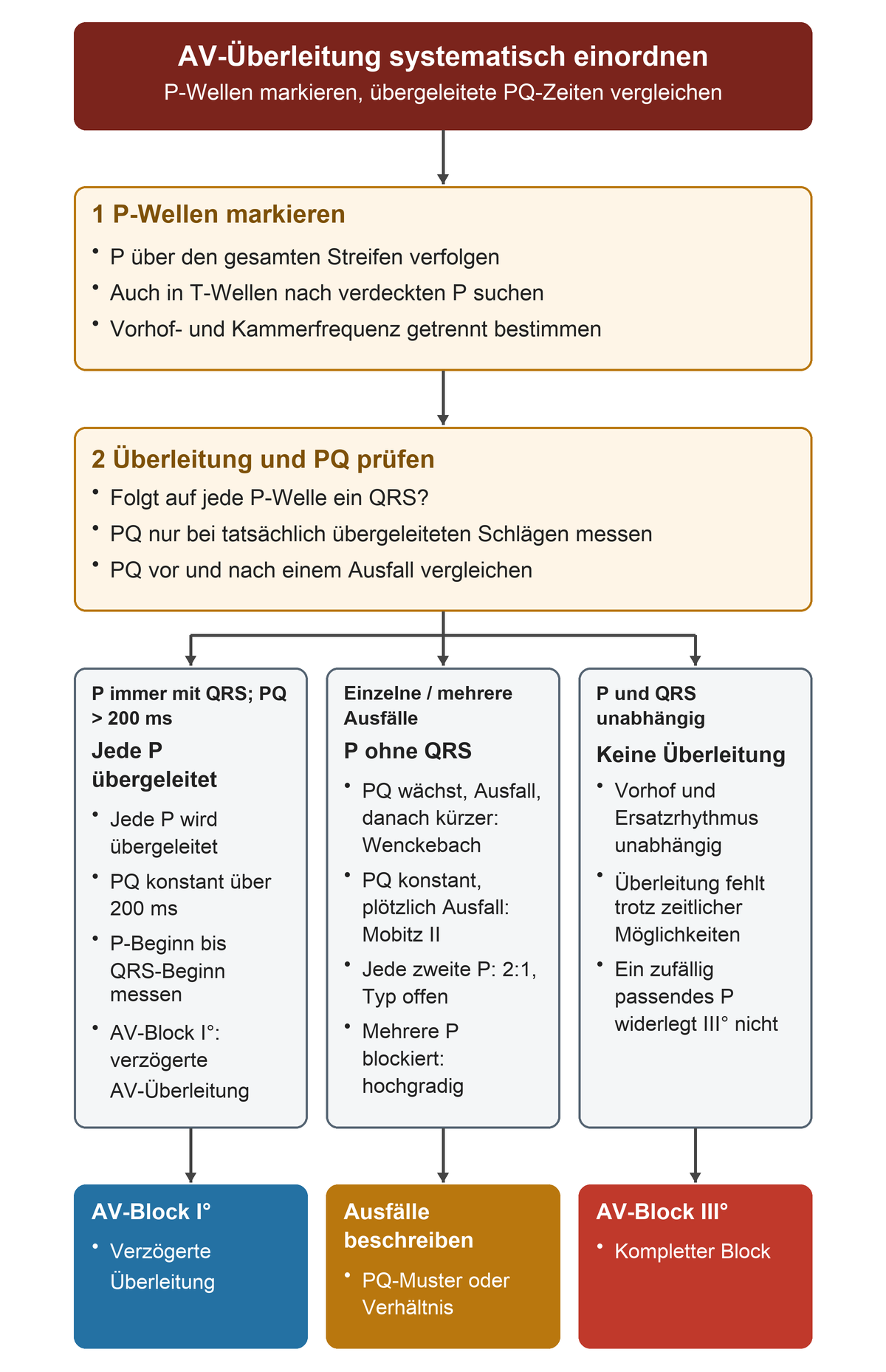 Nach getrenntem Verfolgen von P und QRS verzweigt der Weg in vollständige Überleitung mit PQ über 200 ms, einzelne Ausfälle oder fehlende Überleitung; PQ-Folge, 2:1-Verhältnis und mehrere blockierte P-Wellen führen zur begründeten Blockbeschreibung.