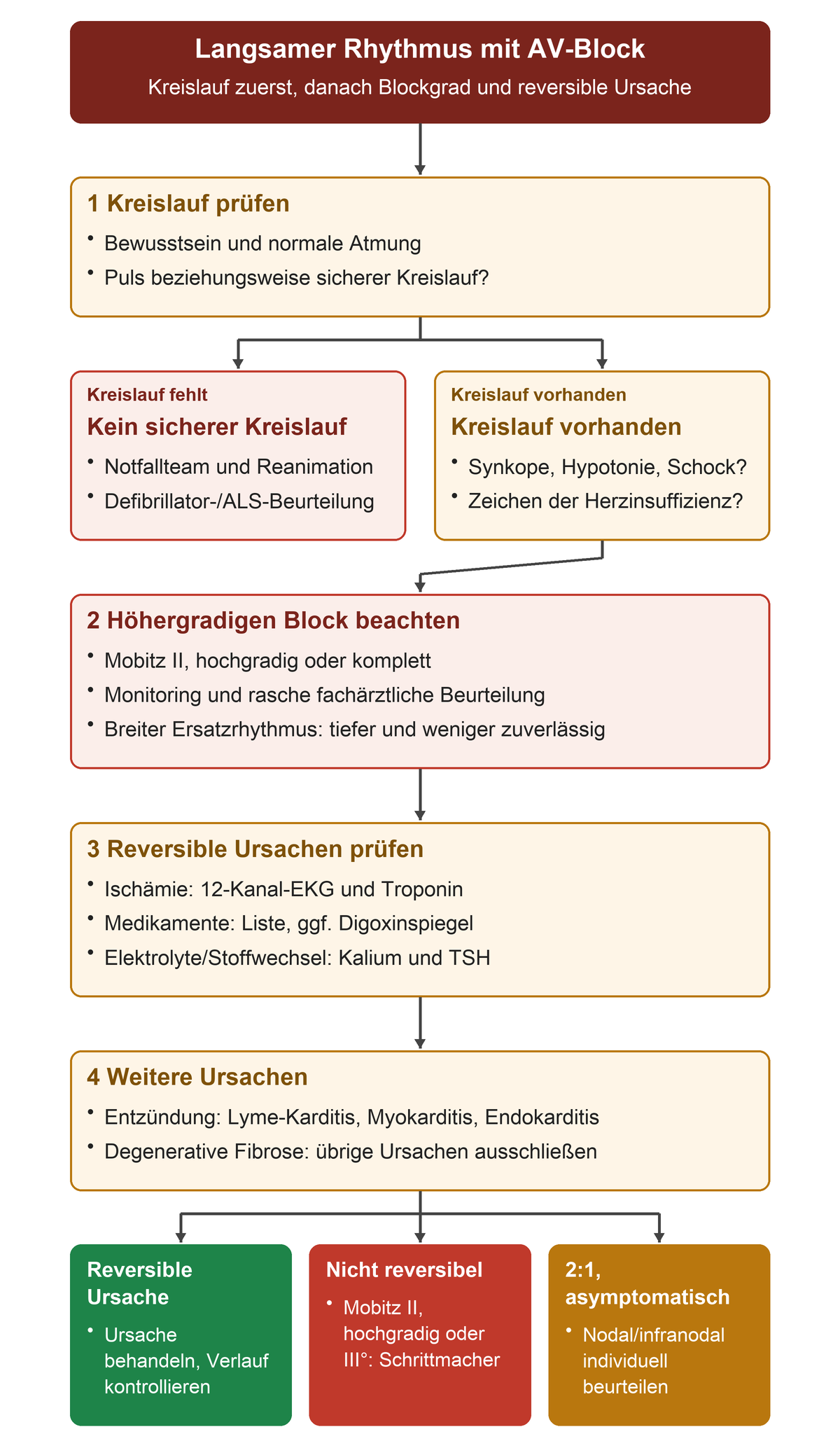 Beim langsamen Rhythmus mit AV-Block führt fehlender Kreislauf sofort zur Reanimation; bei vorhandenem Kreislauf werden Warnzeichen, Blockgrad und reversible Ursachen geprüft, bevor die Schrittmacherfrage beurteilt wird.