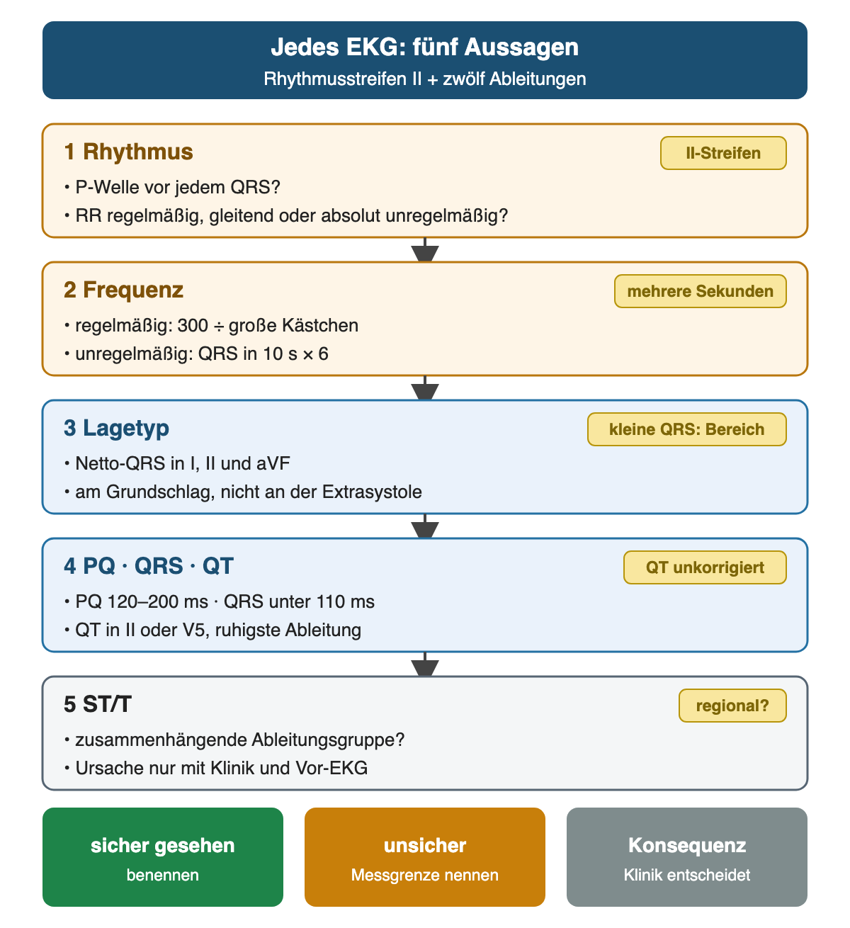 Fünf Schritte: 1 Rhythmus (P vor jedem QRS, RR regelmäßig, gleitend oder absolut unregelmäßig; II-Streifen), 2 Frequenz (regelmäßig 300 durch große Kästchen, unregelmäßig QRS in 10 s mal 6), 3 Lagetyp (Netto-QRS in I, II, aVF am Grundschlag; kleine QRS nur Bereich), 4 PQ 120–200 ms, QRS unter 110 ms, QT in II oder V5 unkorrigiert, 5 ST/T regional mit Klinik und Vor-EKG; Ergebnis: sicher Gesehenes benennen, Unsicheres als Messgrenze nennen, Konsequenz nach Klinik