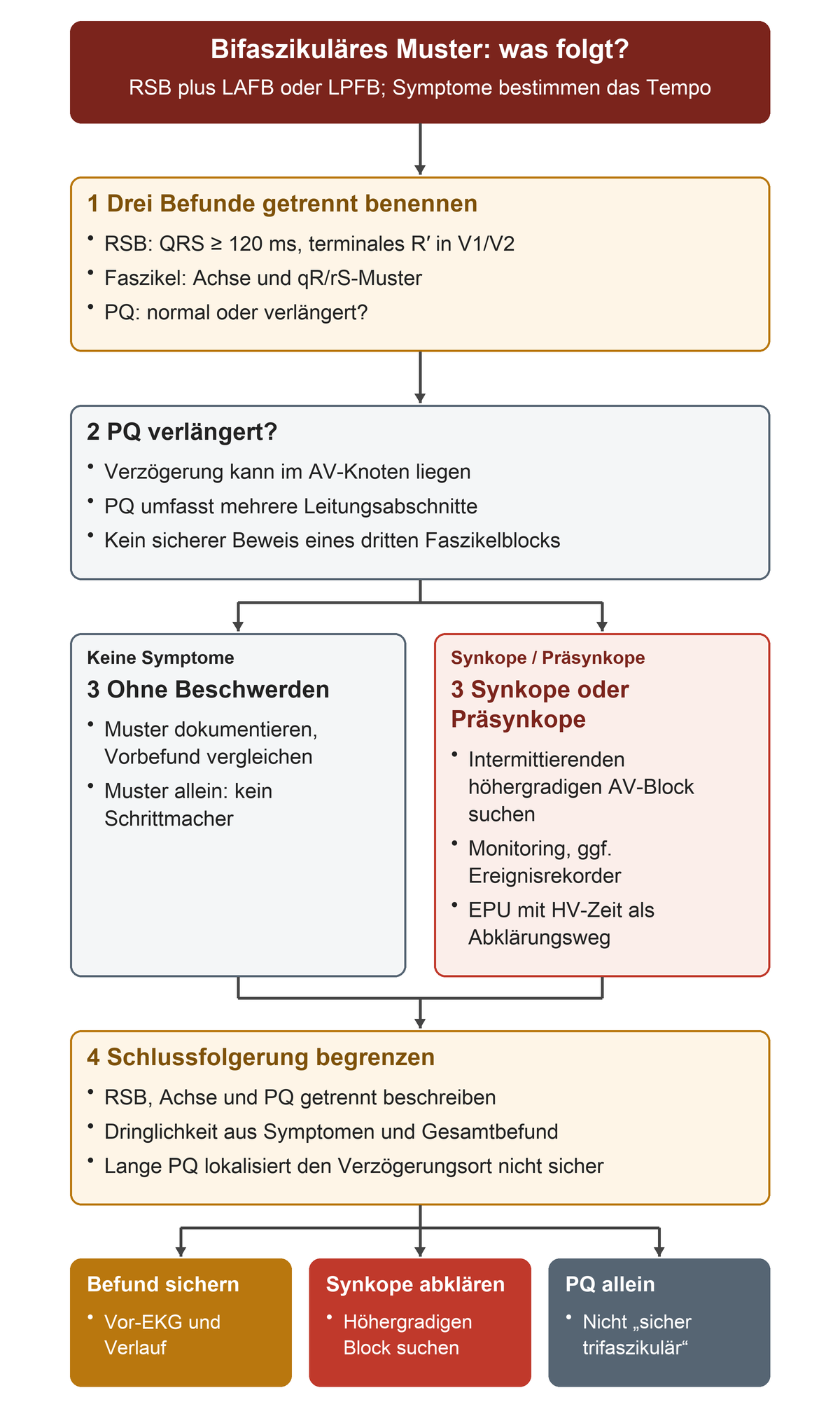Bifaszikuläres Muster zunächst in RSB, Faszikel und PQ zerlegen, dann die Aussagegrenze der langen PQ und die unterschiedlichen Wege ohne Symptome oder bei Synkope prüfen.