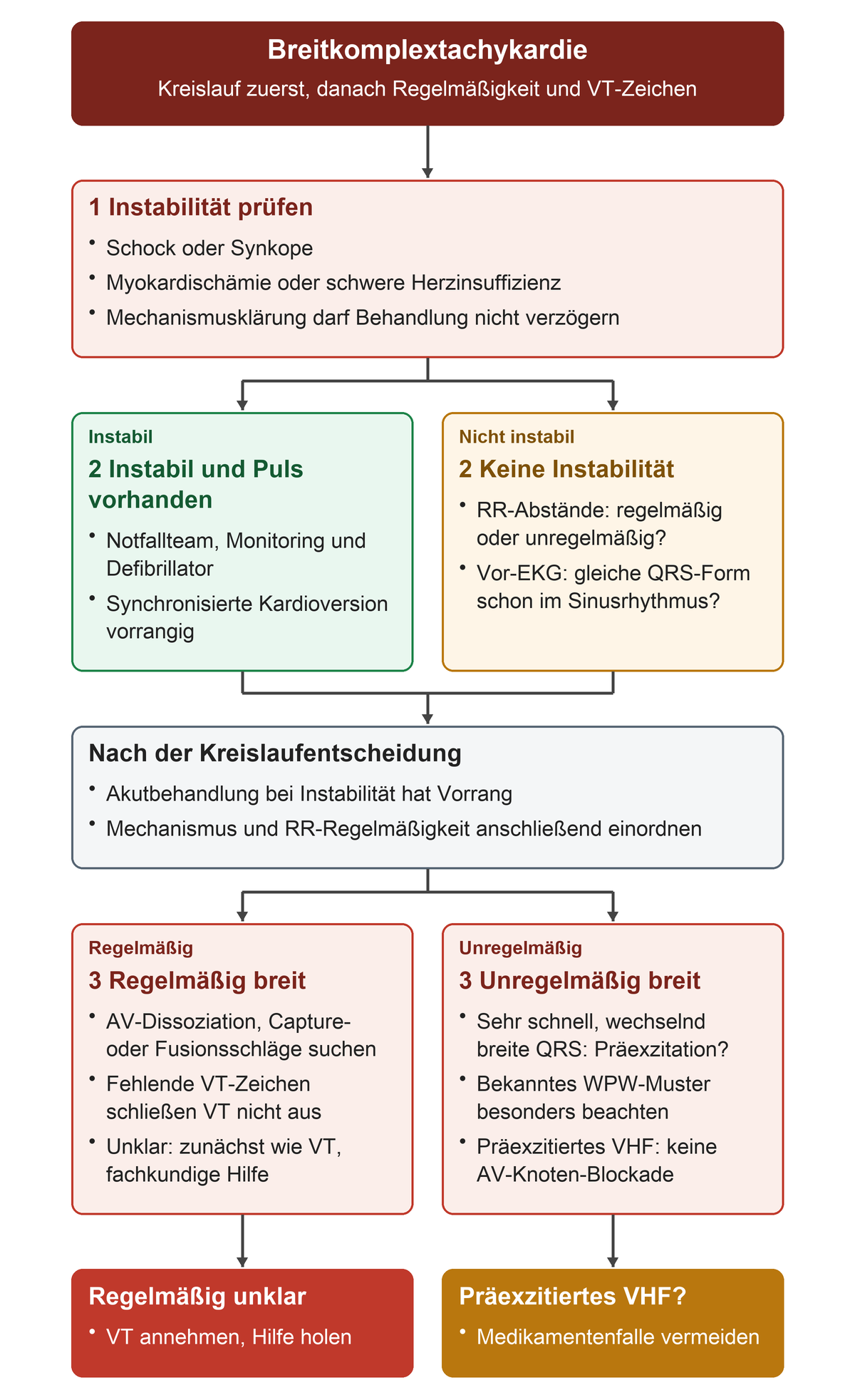 Von Instabilitätszeichen zur elektrischen Akutbehandlung; ohne Instabilität RR-Regelmäßigkeit prüfen, bei regelmäßiger Tachykardie VT-Zeichen suchen und bei unregelmäßig wechselnd breitem QRS präexzitiertes Vorhofflimmern bedenken.