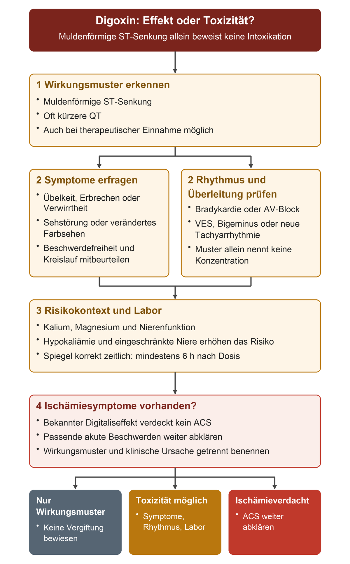 Bei Digoxin vom ST-Muster zu Symptomen, Rhythmus und Überleitung, dann zu Kalium, Magnesium, Niere und zeitgerecht abgenommenem Spiegel; passende Beschwerden halten die ACS-Abklärung offen.