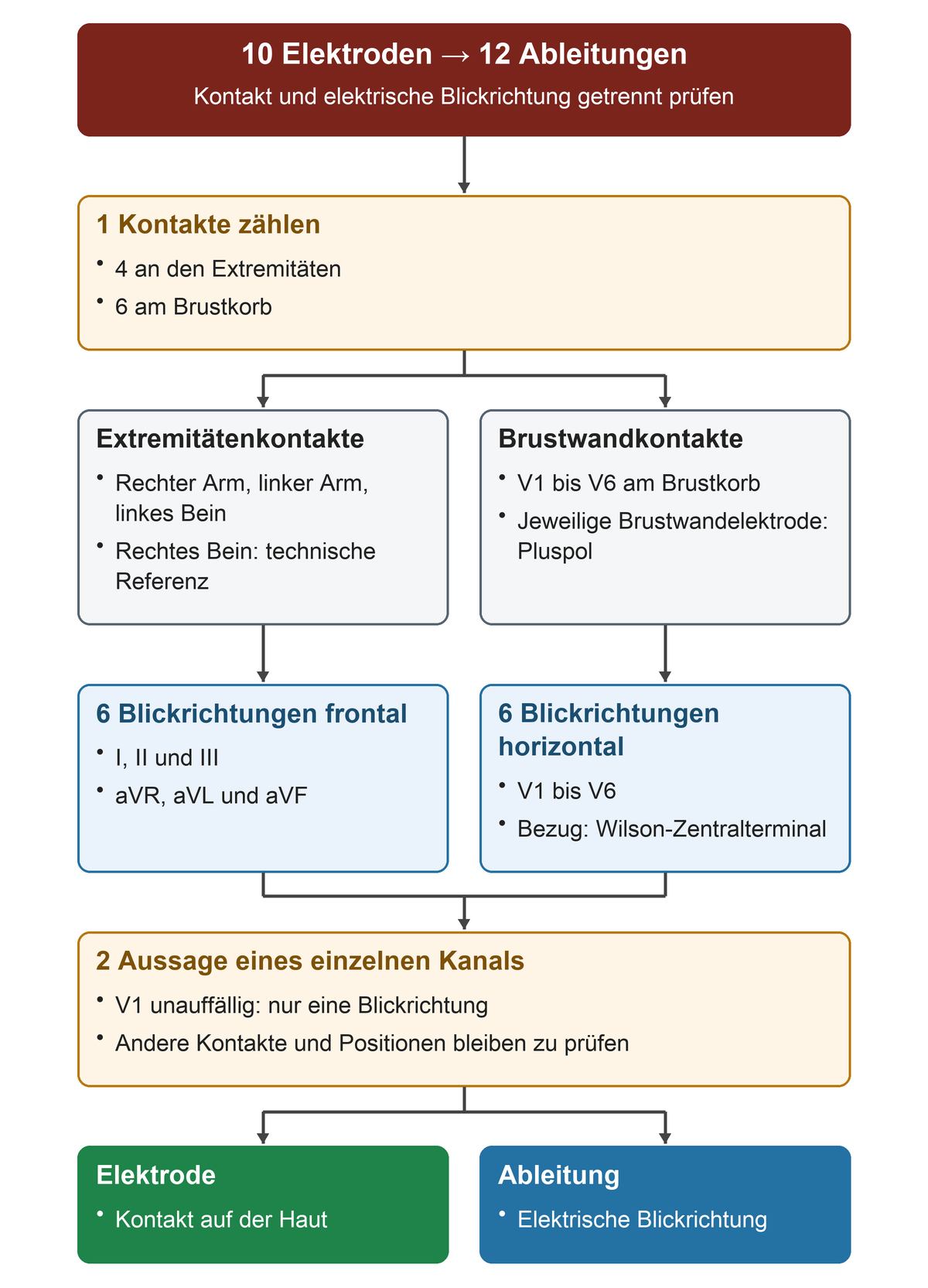 Von vier Extremitäten- und sechs Brustwandkontakten zu je sechs frontalen und horizontalen Ableitungen; danach führt die Prüfung eines einzelnen Kanals zur getrennten Beurteilung von Kontakt und Blickrichtung.