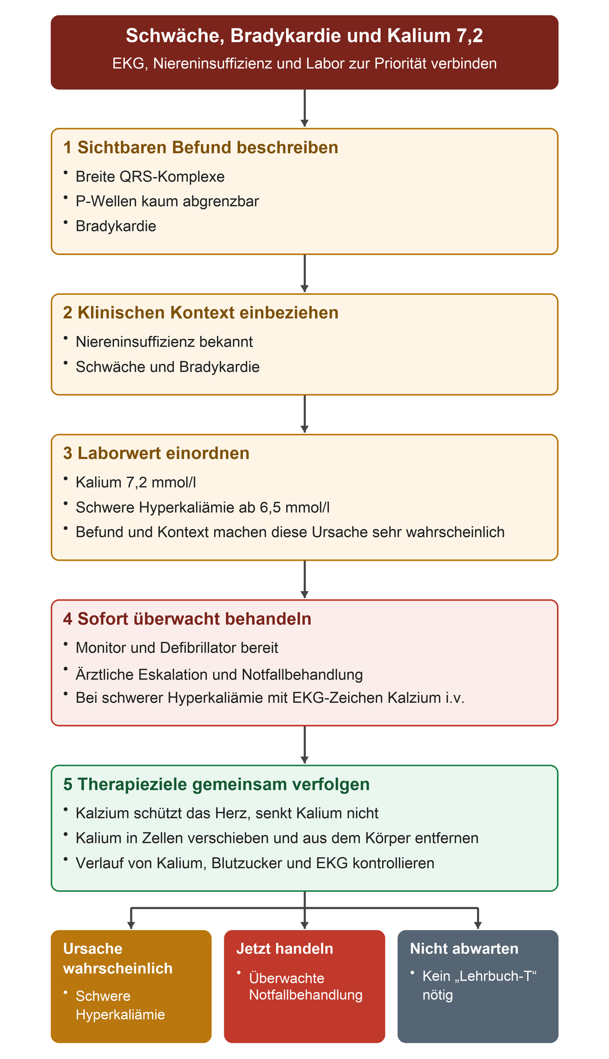 Vom sichtbaren EKG-Befund über Niereninsuffizienz und Kalium 7,2 mmol/l zur schweren Hyperkaliämie und sofortigen überwachten Behandlung; Herzschutz und Kaliumsenkung haben unterschiedliche Aufgaben.