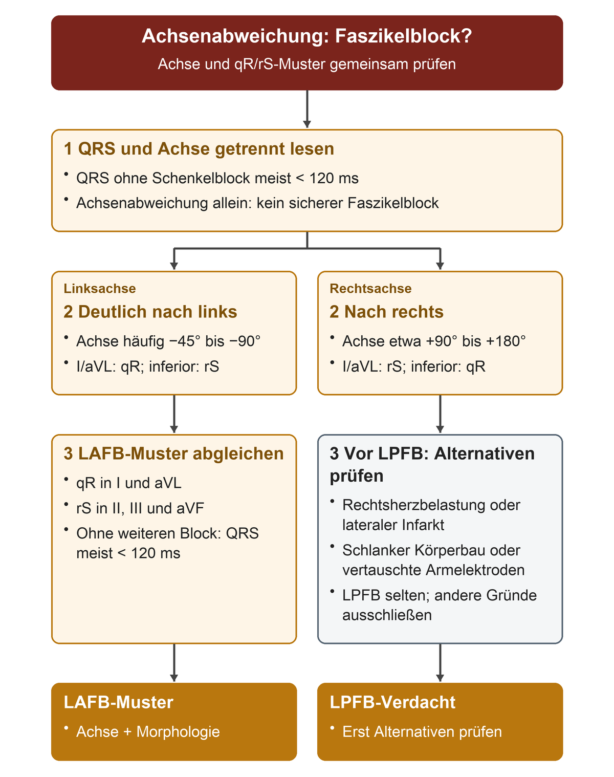 Von QRS-Dauer und Achse zu zwei Ästen: linksgerichtete Achse mit qR in I/aVL und rS inferior; Rechtsachse mit umgekehrtem Muster und Ausschluss anderer Ursachen.