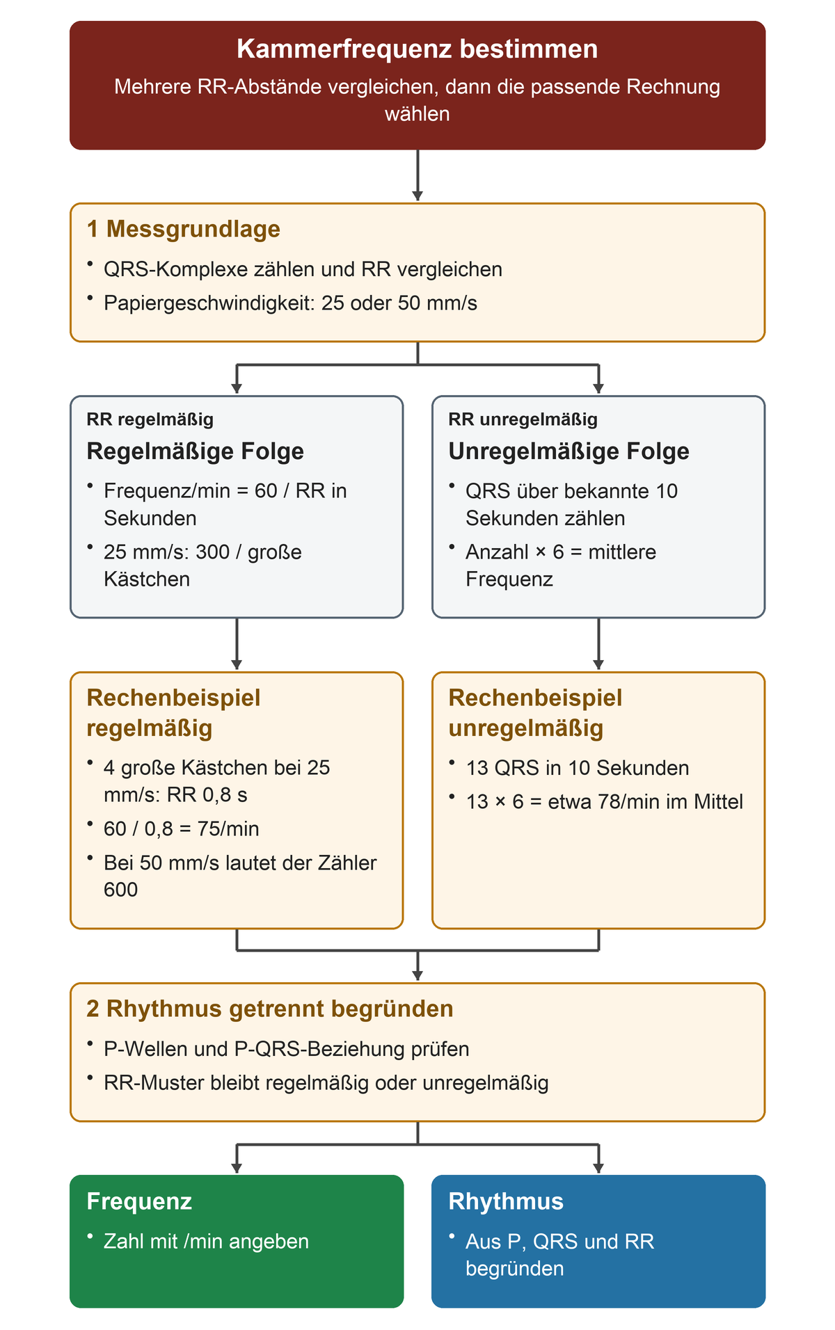 Nach Vergleich der RR-Abstände verzweigt die Frequenzbestimmung in regelmäßige Folge mit 60 durch RR und unregelmäßige Folge mit QRS-Zahl in zehn Sekunden mal sechs; die Rhythmusbegründung folgt getrennt.