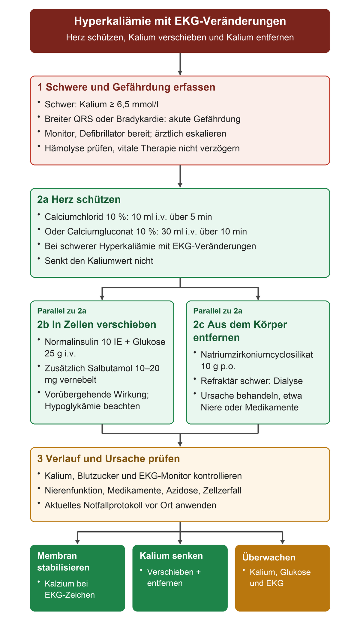 Schwere Hyperkaliämie und EKG-Veränderungen führen zur überwachten Akutbehandlung; Kalzium schützt das Herz, Insulin-Glukose mit Salbutamol verschiebt Kalium, Kaliumbinder oder Dialyse entfernen es, anschließend sind Verlauf und Ursache zu kontrollieren.