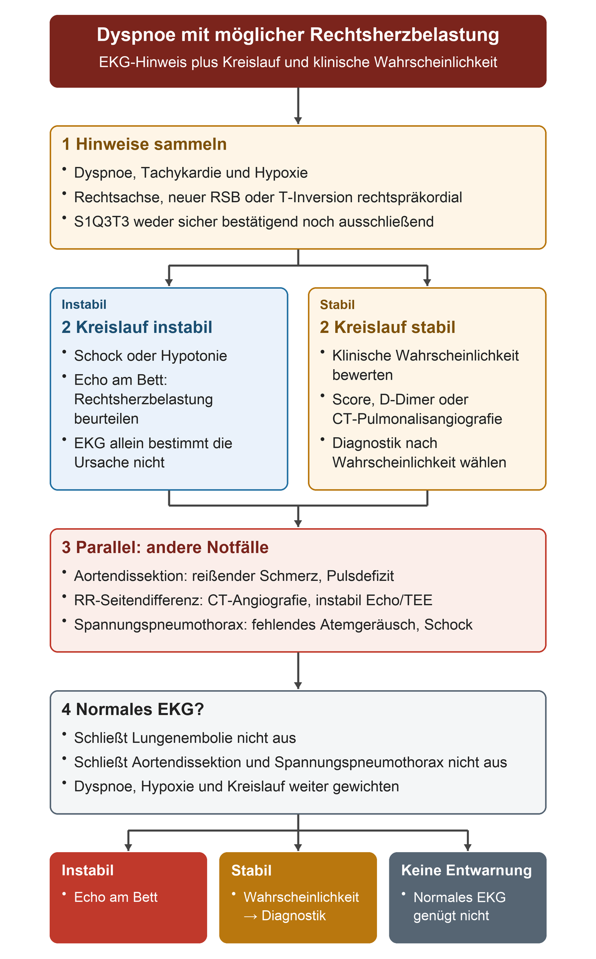 Bei Dyspnoe EKG-Hinweise auf Rechtsherzbelastung sammeln, dann nach Kreislaufstabilität zwischen Echo am Bett und Diagnostik nach klinischer Wahrscheinlichkeit verzweigen; andere thorakale Notfälle bleiben parallel relevant.