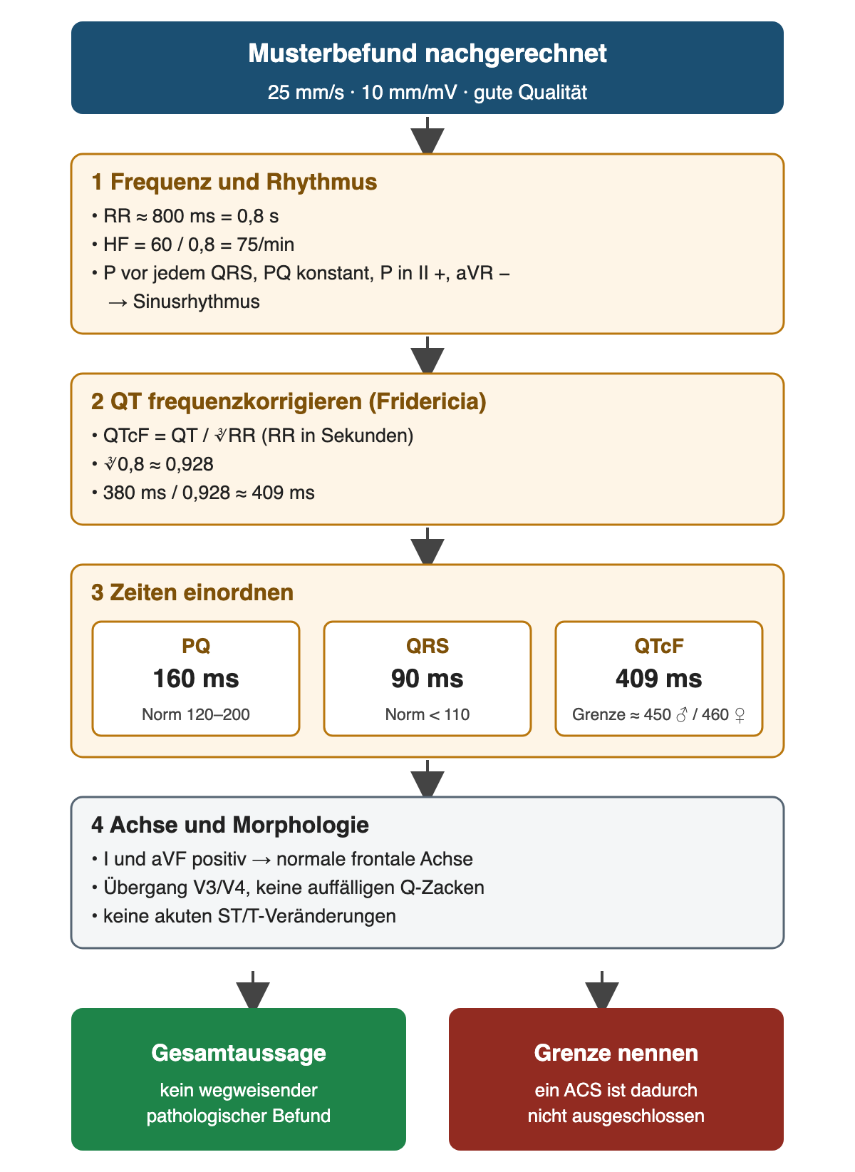 Musterbefund in vier Rechenschritten: 1 RR 0,8 s ergibt 75/min, P vor jedem QRS mit konstantem PQ, positiv in II und negativ in aVR, also Sinusrhythmus; 2 QTc nach Fridericia gleich QT geteilt durch die dritte Wurzel aus RR, 380 ms geteilt durch 0,928 ergibt etwa 409 ms; 3 Einordnung: PQ 160 ms (Norm 120–200), QRS 90 ms (Norm unter 110), QTcF 409 ms (Grenze etwa 450 ms bei Männern, 460 ms bei Frauen); 4 I und aVF positiv, Übergang V3/V4, keine auffälligen Q-Zacken, keine akuten ST/T-Veränderungen. Ergebnis: kein wegweisender pathologischer Befund, ein ACS ist dadurch nicht ausgeschlossen