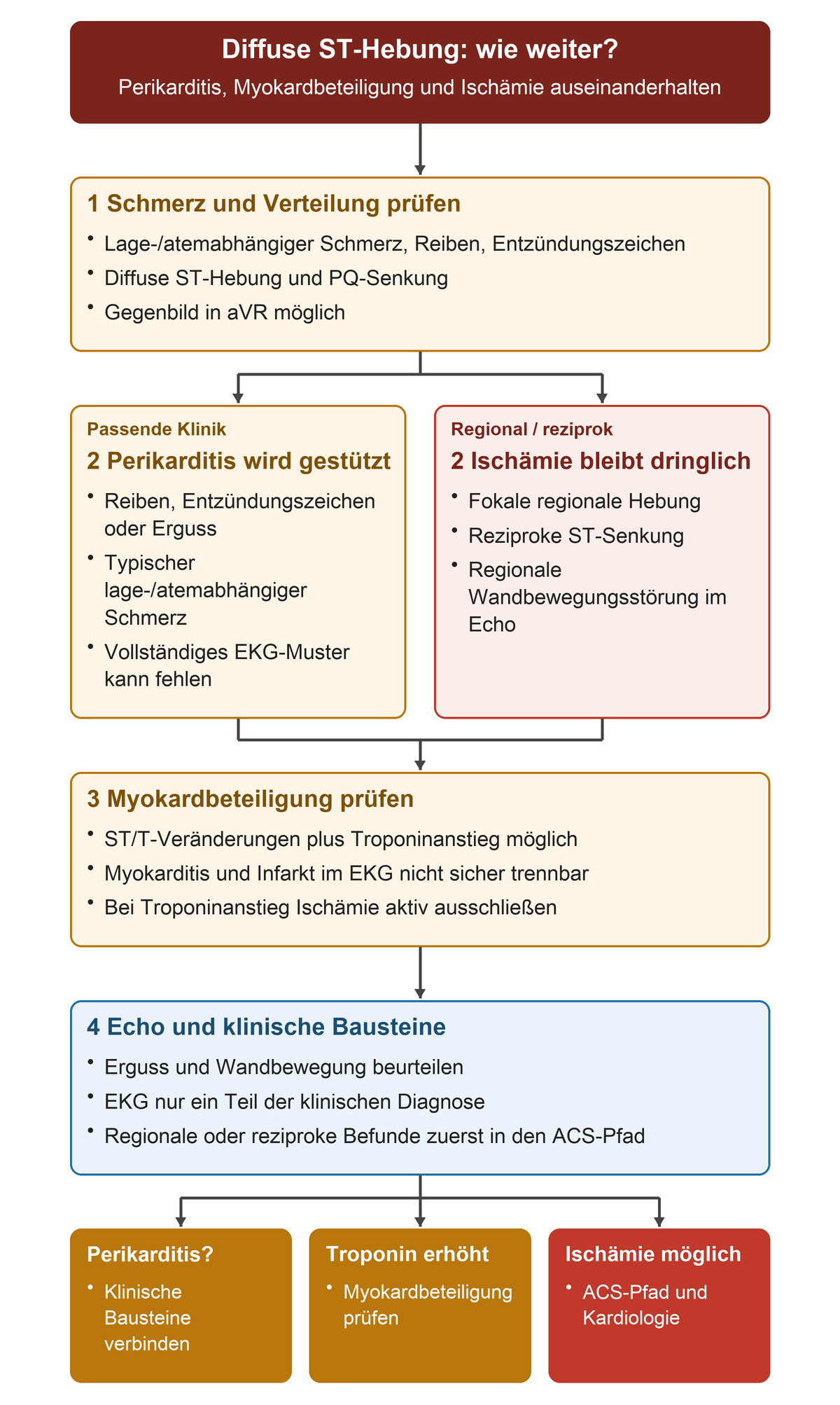 Von Schmerzcharakter und ST-Verteilung über unterstützende Perikarditisbefunde beziehungsweise regionale Ischämiewarnzeichen zu Troponin, Echo und den klinischen Konsequenzen.