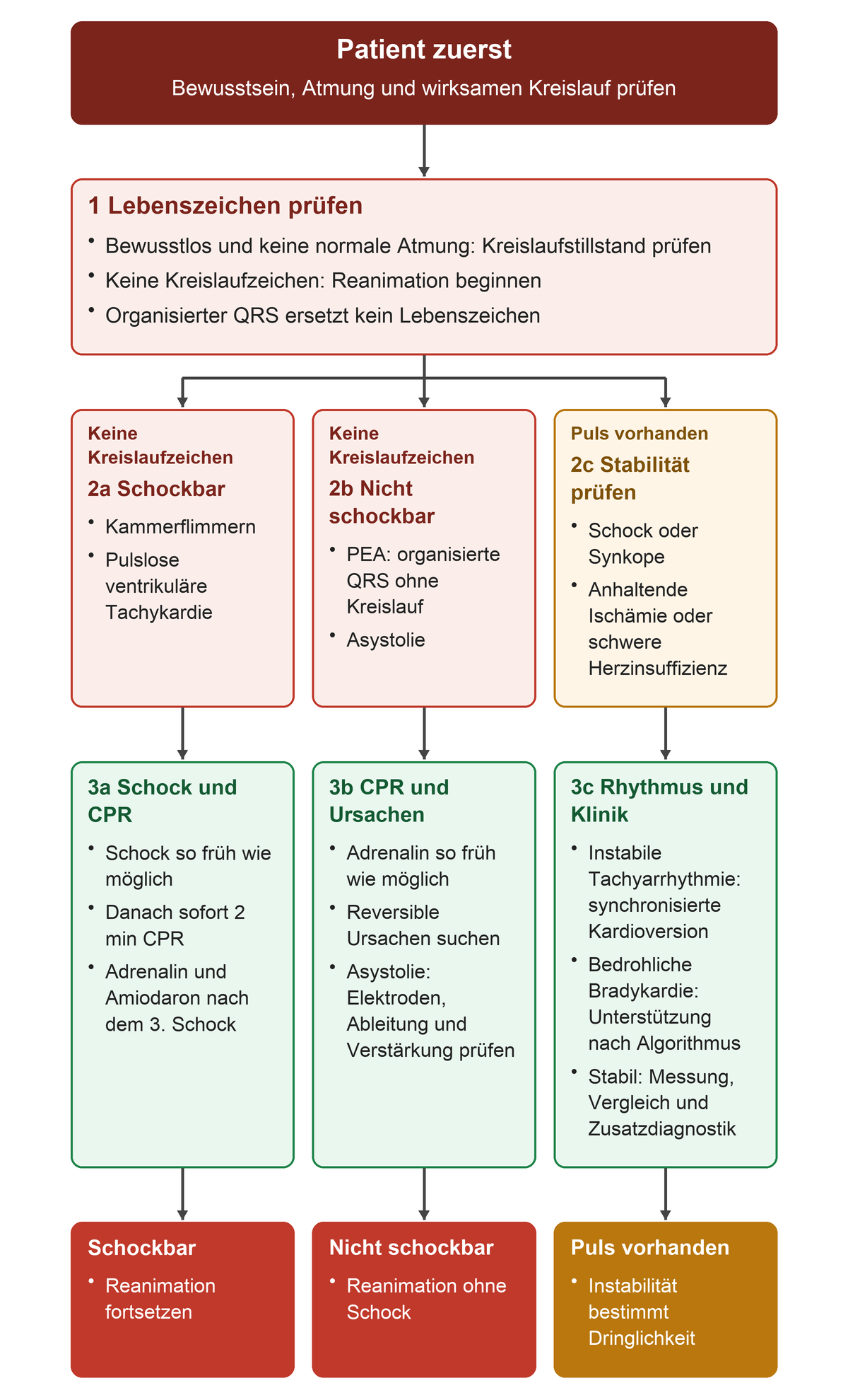 Patient zuerst. Bewusstsein, Atmung und wirksamen Kreislauf prüfen. 1 Lebenszeichen prüfen: Bewusstlos und keine normale Atmung: Kreislaufstillstand prüfen, Keine Kreislaufzeichen: Reanimation beginnen, Organisierter QRS ersetzt kein Lebenszeichen; Keine Kreislaufzeichen: 2a Schockbar: Kammerflimmern, Pulslose ventrikuläre Tachykardie; Keine Kreislaufzeichen: 2b Nicht schockbar: PEA: organisierte QRS ohne Kreislauf, Asystolie; Puls vorhanden: 2c Stabilität prüfen: Schock oder Synkope, Anhaltende Ischämie oder schwere Herzinsuffizienz; 3a Schock und CPR: Schock so früh wie möglich, Danach sofort 2 min CPR, Adrenalin und Amiodaron nach dem 3. Schock; 3b CPR und Ursachen: Adrenalin so früh wie möglich, Reversible Ursachen suchen, Asystolie: Elektroden, Ableitung und Verstärkung prüfen; 3c Rhythmus und Klinik: Instabile Tachyarrhythmie: synchronisierte Kardioversion, Bedrohliche Bradykardie: Unterstützung nach Algorithmus, Stabil: Messung, Vergleich und Zusatzdiagnostik. Ergebnisse: Schockbar: Reanimation fortsetzen; Nicht schockbar: Reanimation ohne Schock; Puls vorhanden: Instabilität bestimmt Dringlichkeit.