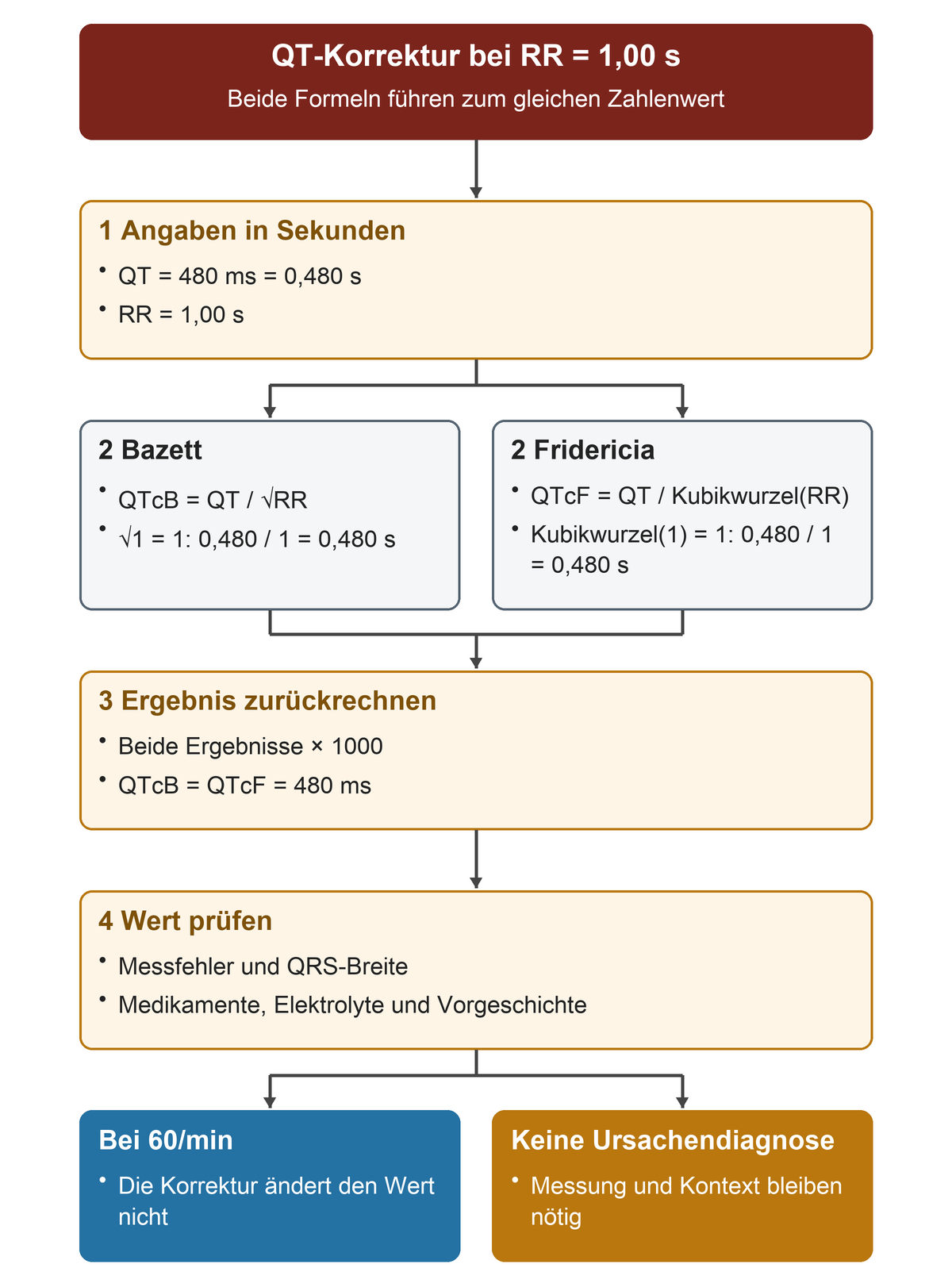 Aus QT 480 Millisekunden und RR einer Sekunde werden Bazett und Fridericia parallel berechnet; beide ergeben 480 Millisekunden, danach werden Messung und Kontext geprüft.