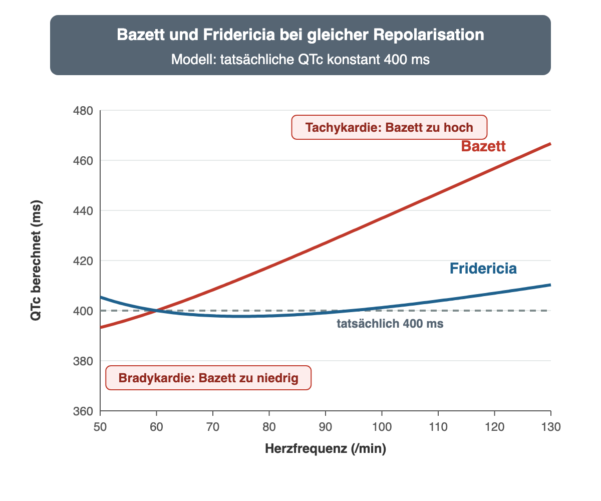Liniendiagramm: berechnete QTc nach Bazett und Fridericia zwischen 50 und 130/min bei gleichbleibender tatsächlicher Repolarisation von 400 ms