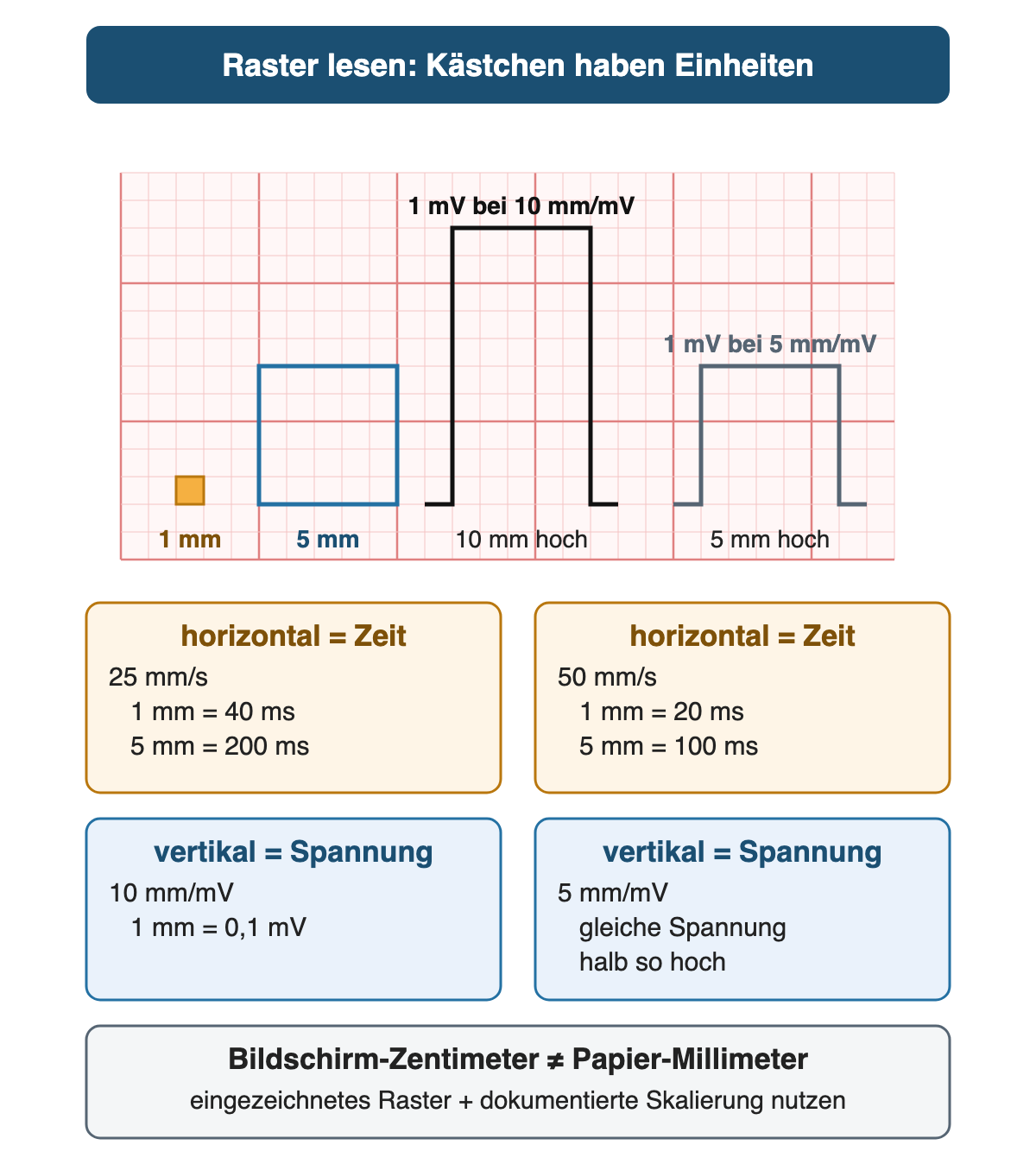 Raster mit 1-mm- und 5-mm-Kästchen; die 1-mV-Eichzacke ist bei 10 mm/mV 10 mm und bei 5 mm/mV 5 mm hoch; bei 25 mm/s gilt 1 mm = 40 ms und 5 mm = 200 ms, bei 50 mm/s 1 mm = 20 ms und 5 mm = 100 ms; bei 10 mm/mV gilt 1 mm = 0,1 mV