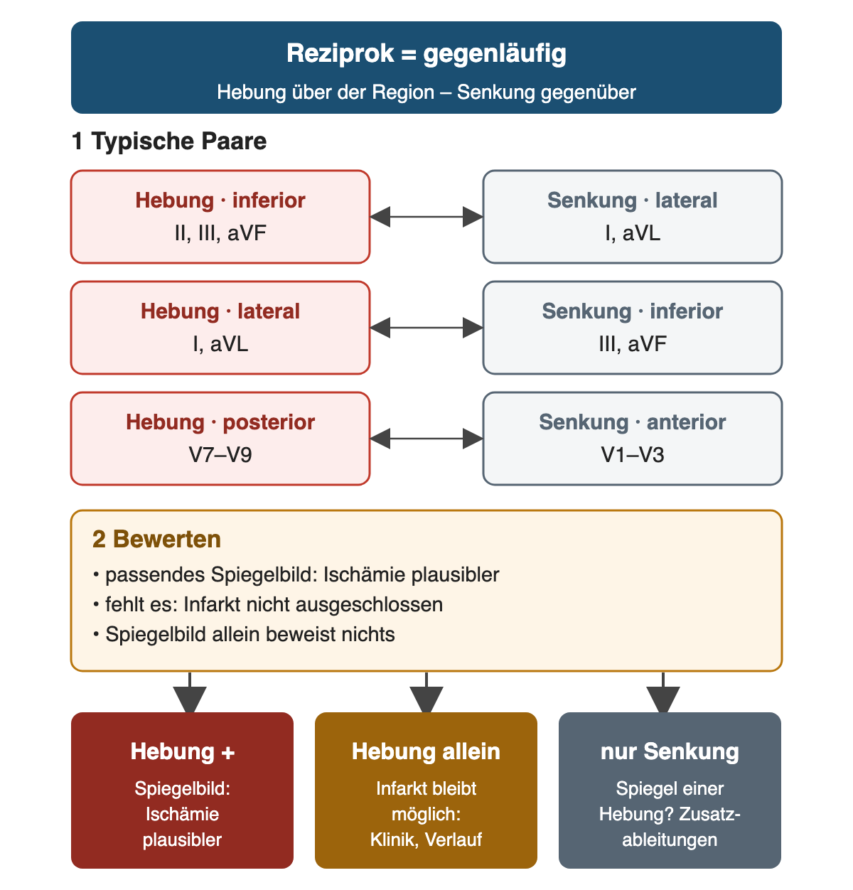 Reziproke Paare: Hebung inferior (II, III, aVF) mit Senkung lateral (I, aVL); Hebung lateral (I, aVL) mit Senkung inferior (III, aVF); Hebung posterior (V7–V9) mit Senkung in V1–V3. Bewertung: passendes Spiegelbild macht Ischämie plausibler, sein Fehlen schließt einen Infarkt nicht aus, das Spiegelbild allein beweist nichts. Ergebniszeile: Hebung mit Spiegelbild, Hebung allein, nur Senkung mit Frage nach Zusatzableitungen
