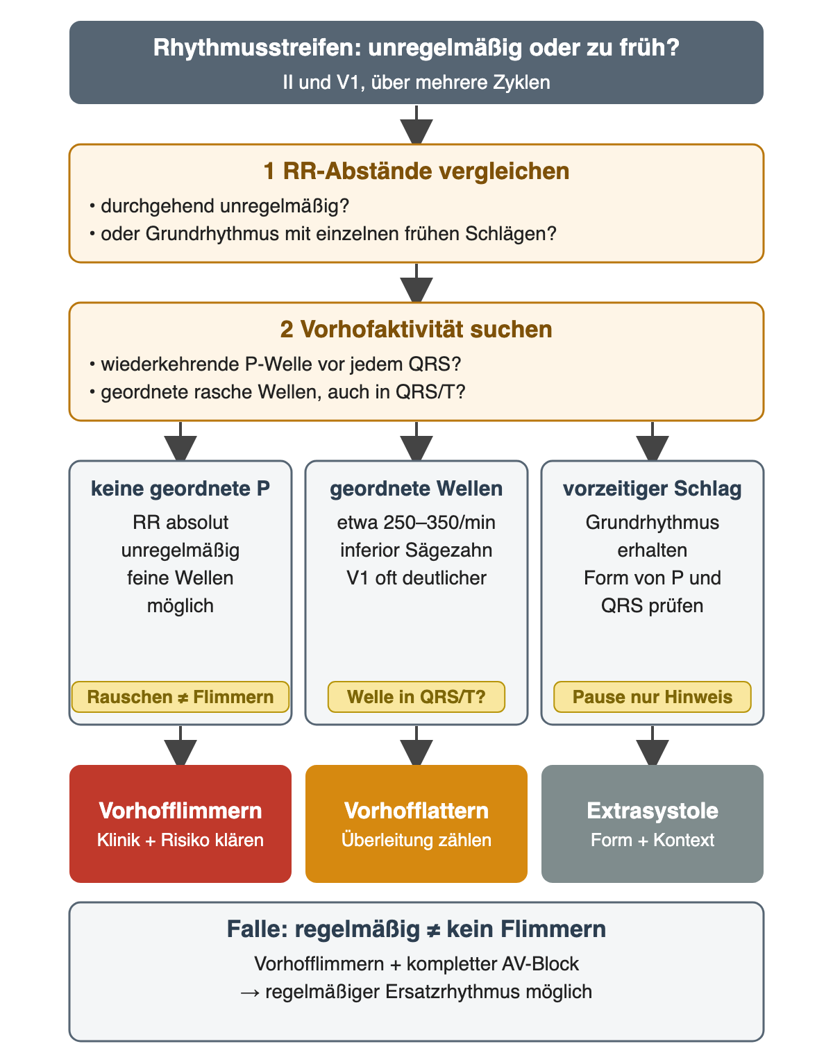 Entscheidungsweg: zuerst RR-Abstände vergleichen, dann Vorhofaktivität suchen; keine geordnete P mit absolut unregelmäßigen RR führt zum Vorhofflimmermuster, geordnete Wellen von etwa 250–350/min zum Vorhofflattern, ein vorzeitiger Schlag bei erhaltenem Grundrhythmus zur Extrasystole; Falle: Vorhofflimmern mit komplettem AV-Block kann regelmäßig sein