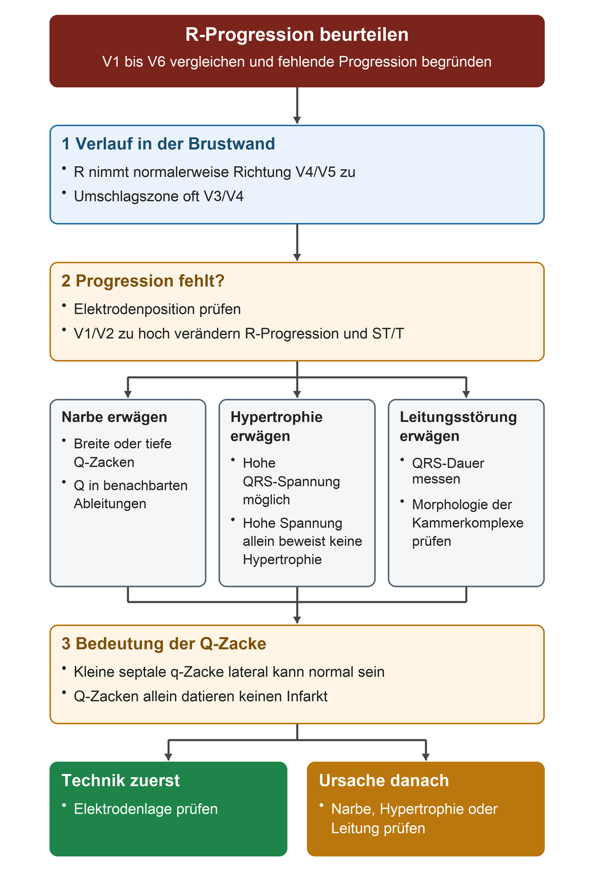 Von der normalen R-Zunahme und Umschlagszone führt die fehlende Progression zuerst zur Elektrodenprüfung, dann zu Narbe, Hypertrophie oder Leitungsstörung; Q-Zacken werden anschließend nach Form und Verteilung eingeordnet.