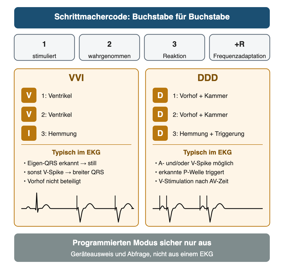 Schrittmachercode Buchstabe für Buchstabe: Position 1 stimuliert, 2 wahrgenommen, 3 Reaktion, zusätzlich R für Frequenzadaptation; VVI bedeutet Ventrikel, Ventrikel, Hemmung, im EKG V-Spike mit breitem QRS nur bei Bedarf; DDD bedeutet Vorhof und Kammer, Vorhof und Kammer, Hemmung und Triggerung, im EKG A- und/oder V-Spike, eine erkannte P-Welle triggert die Kammerstimulation nach der AV-Zeit; den Modus sicher nur aus Geräteausweis und Abfrage