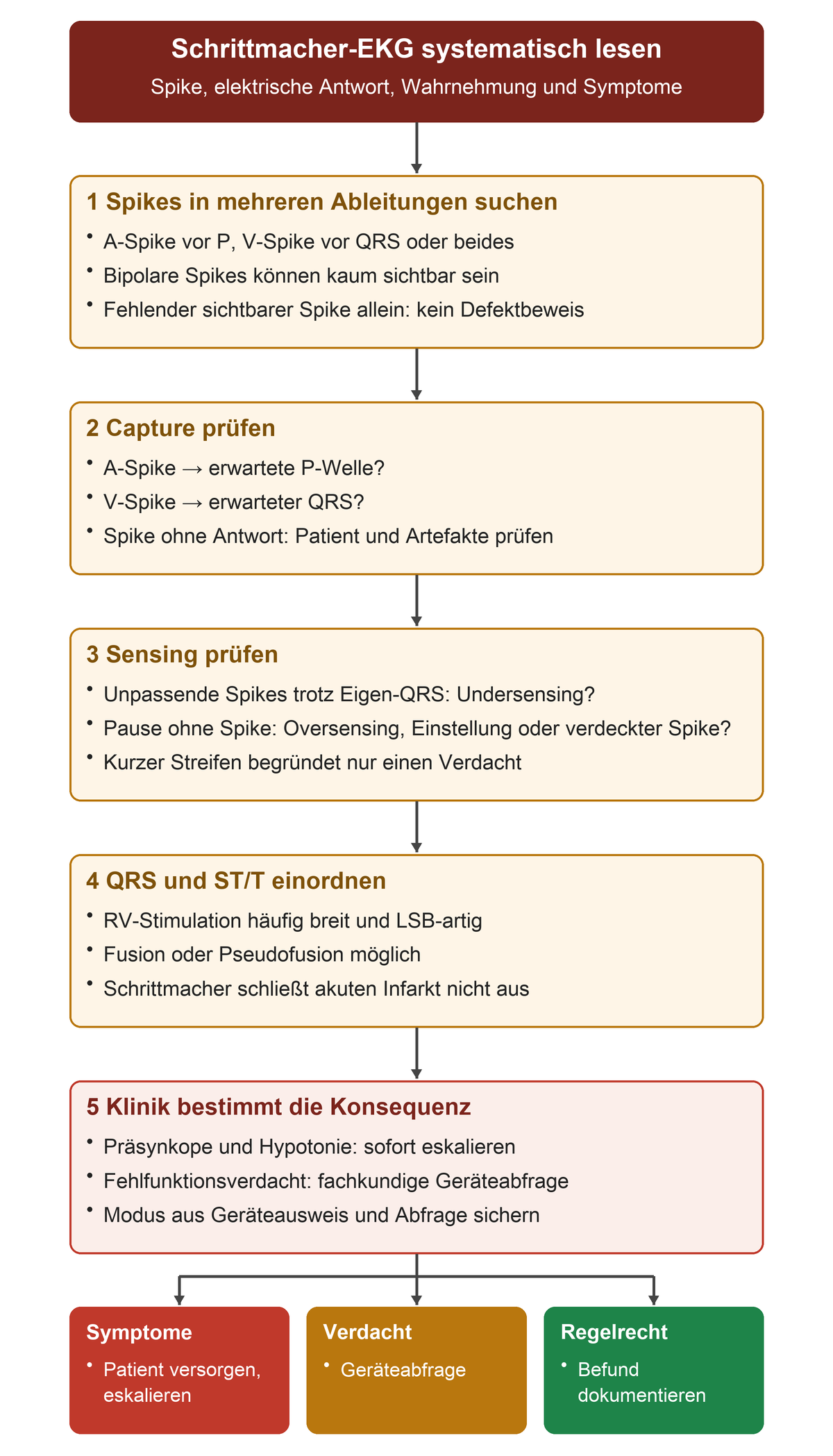 In fünf Schritten Spikes, Capture, Sensing, QRS/ST-T und Klinik prüfen; Symptome führen zur sofortigen Versorgung, ein Fehlfunktionsverdacht zur Geräteabfrage.