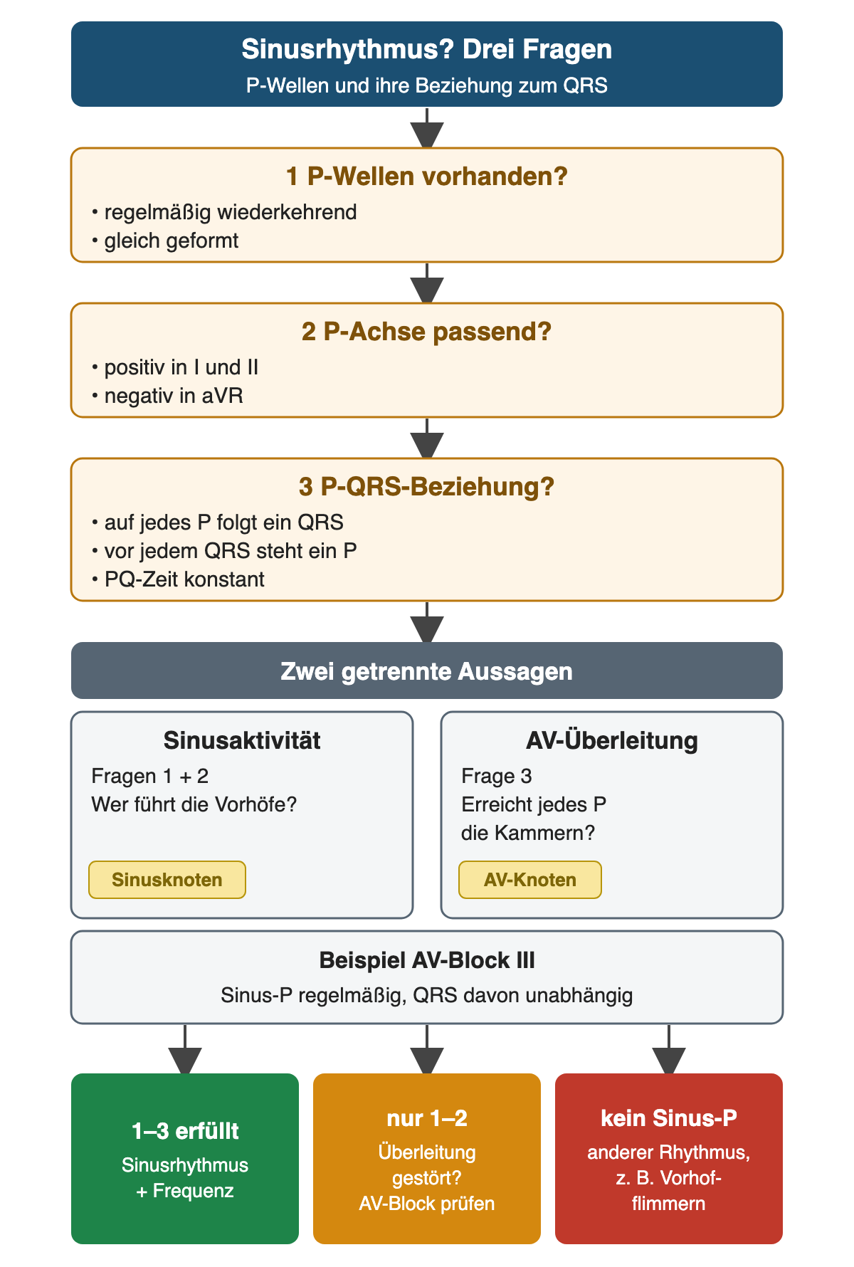 Drei Prüffragen für Sinusrhythmus: P-Wellen vorhanden, P-Achse positiv in I und II und negativ in aVR, feste P-QRS-Beziehung; Sinusaktivität und AV-Überleitung als getrennte Aussagen mit Beispiel AV-Block III