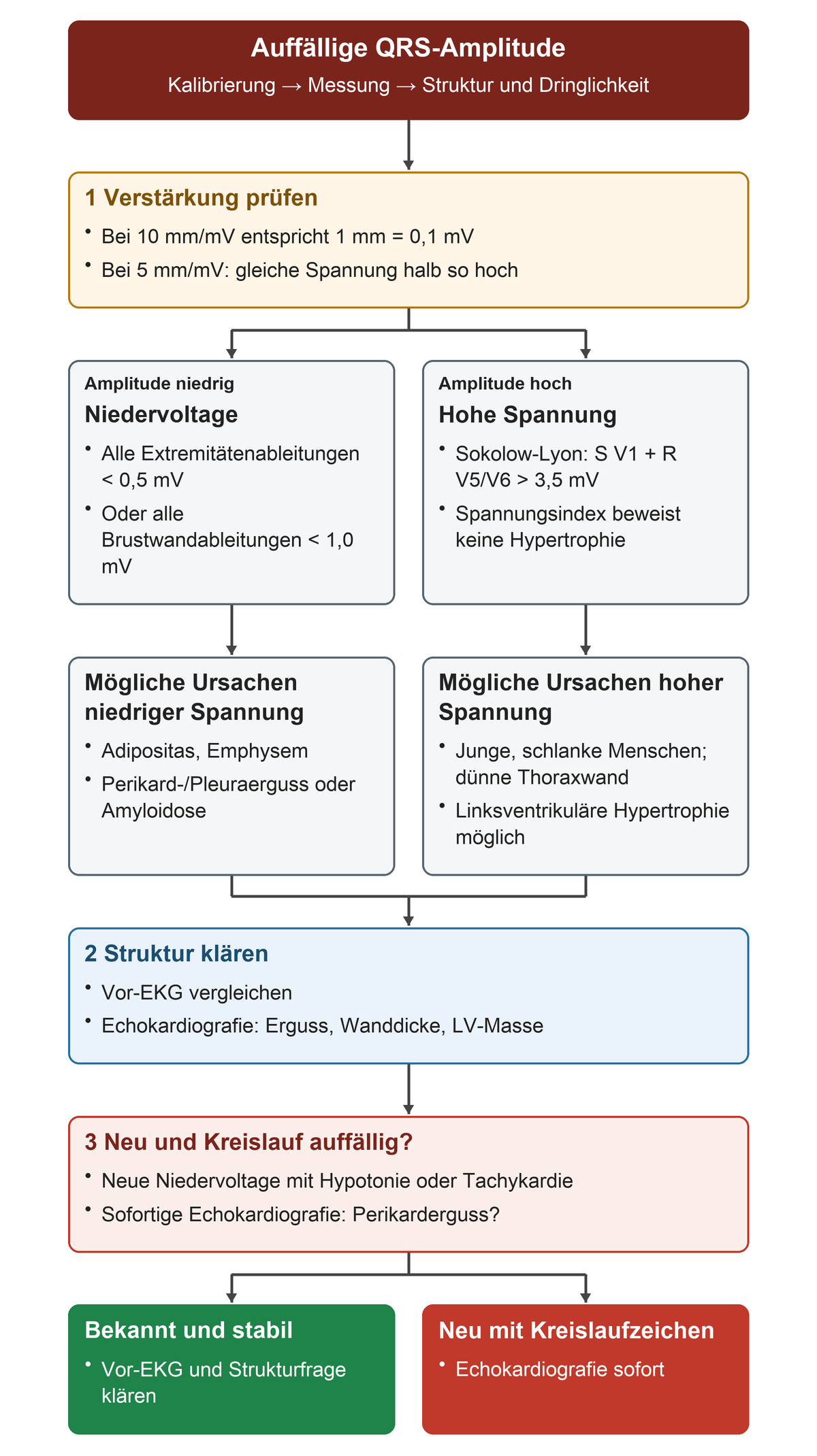Nach Kalibrierungsprüfung werden niedrige und hohe QRS-Spannung anhand ihrer Kriterien getrennt; Ursachen, Vor-EKG und Echokardiografie folgen, bei neuer Niedervoltage mit Kreislaufzeichen sofort.